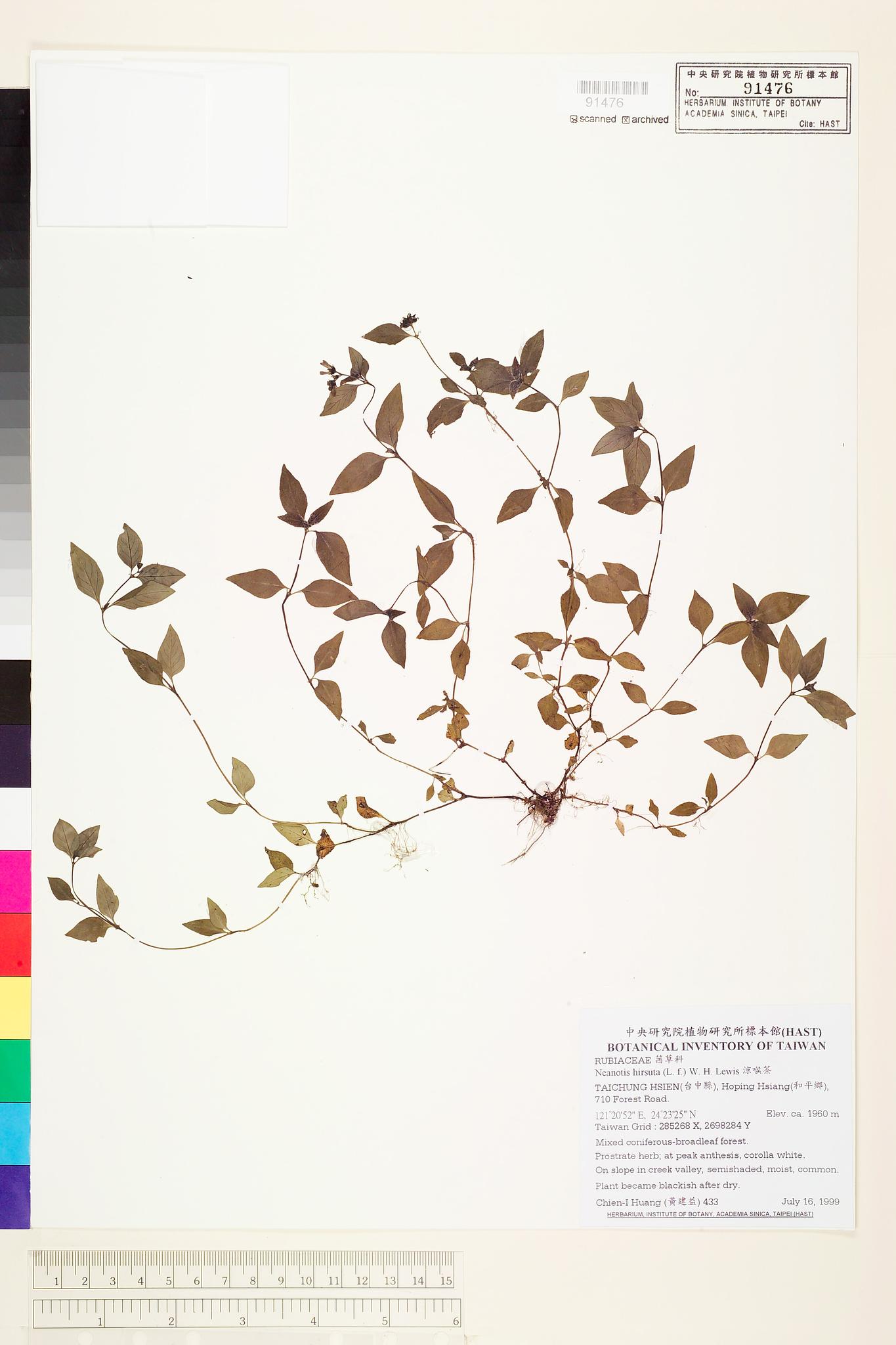 Sample image for viewer