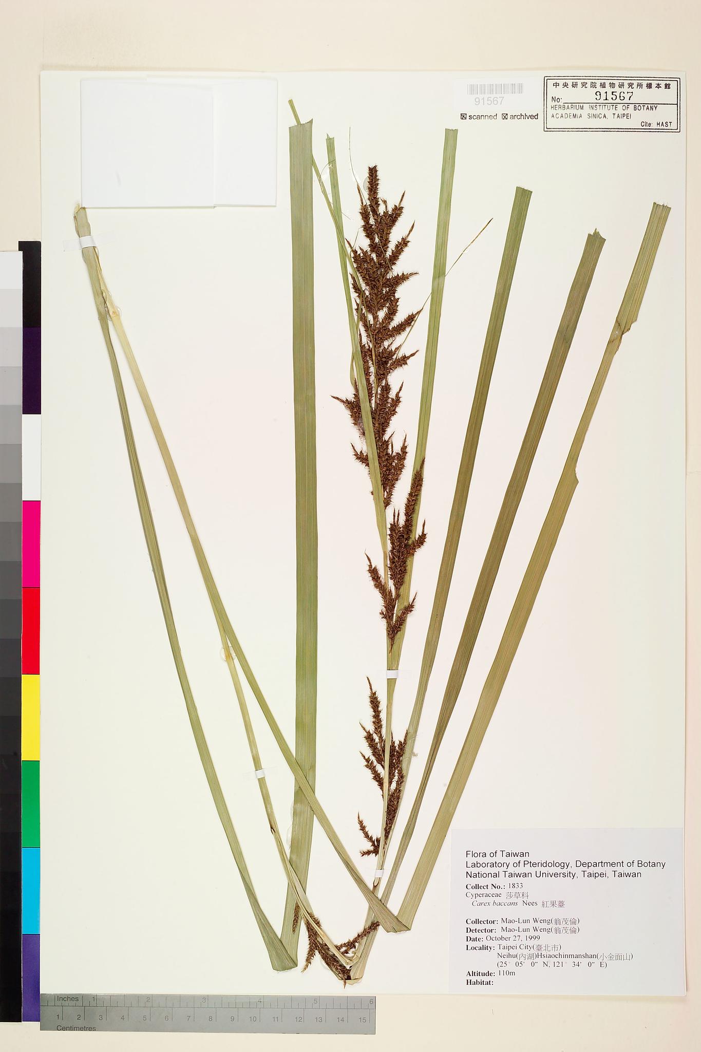 Sample image for viewer