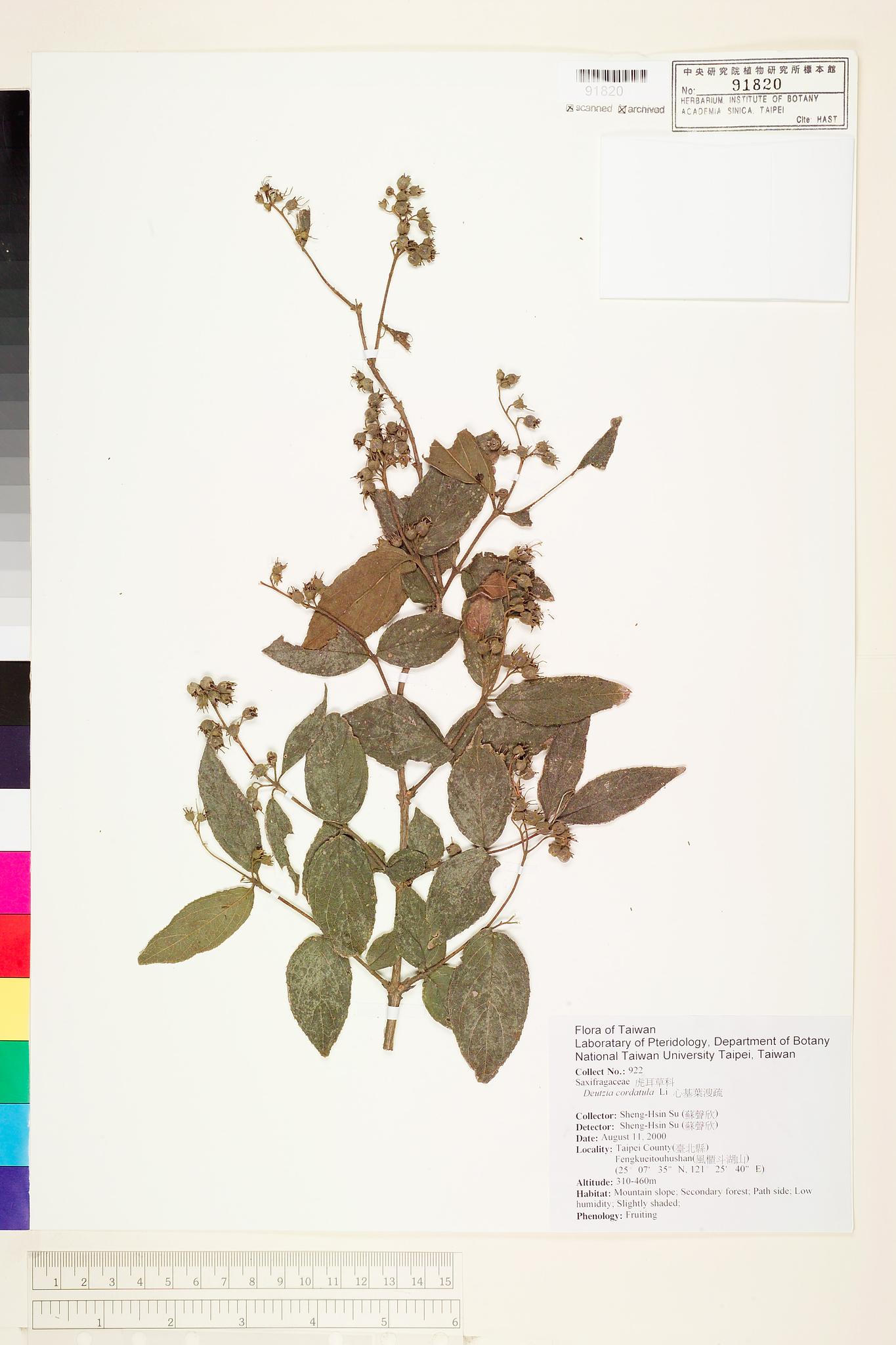 Sample image for viewer