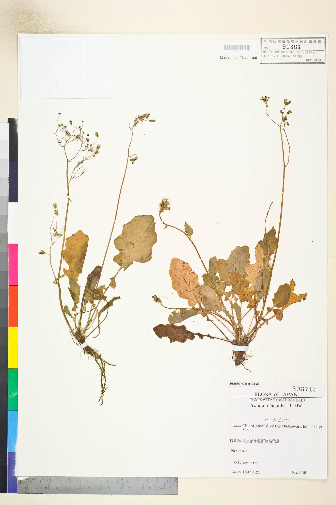 Sample image for viewer