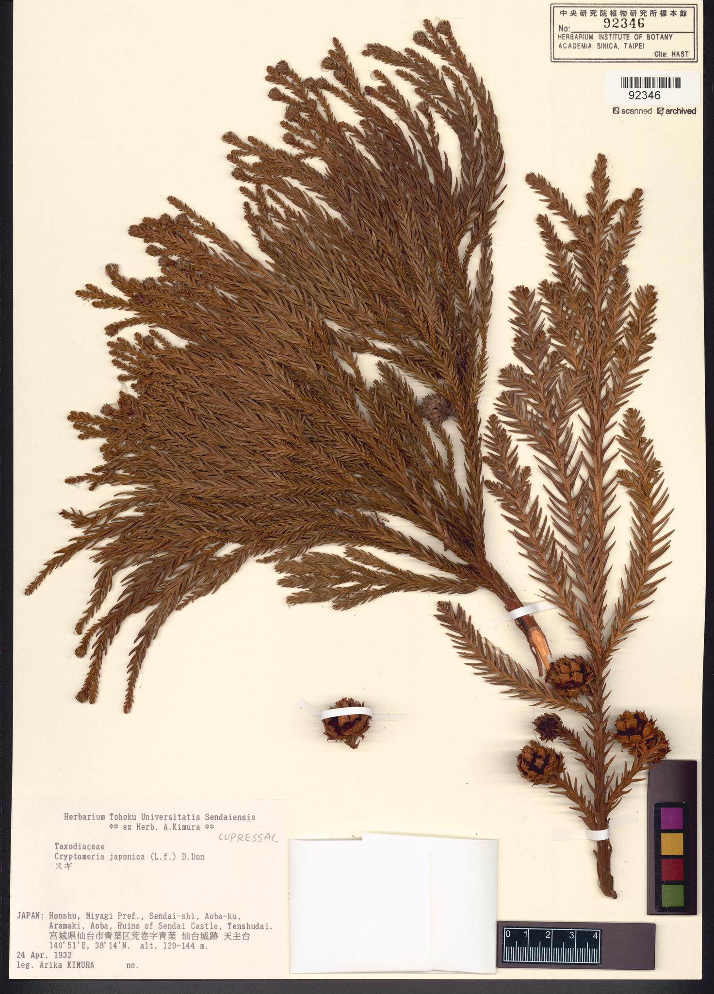 Sample image for viewer