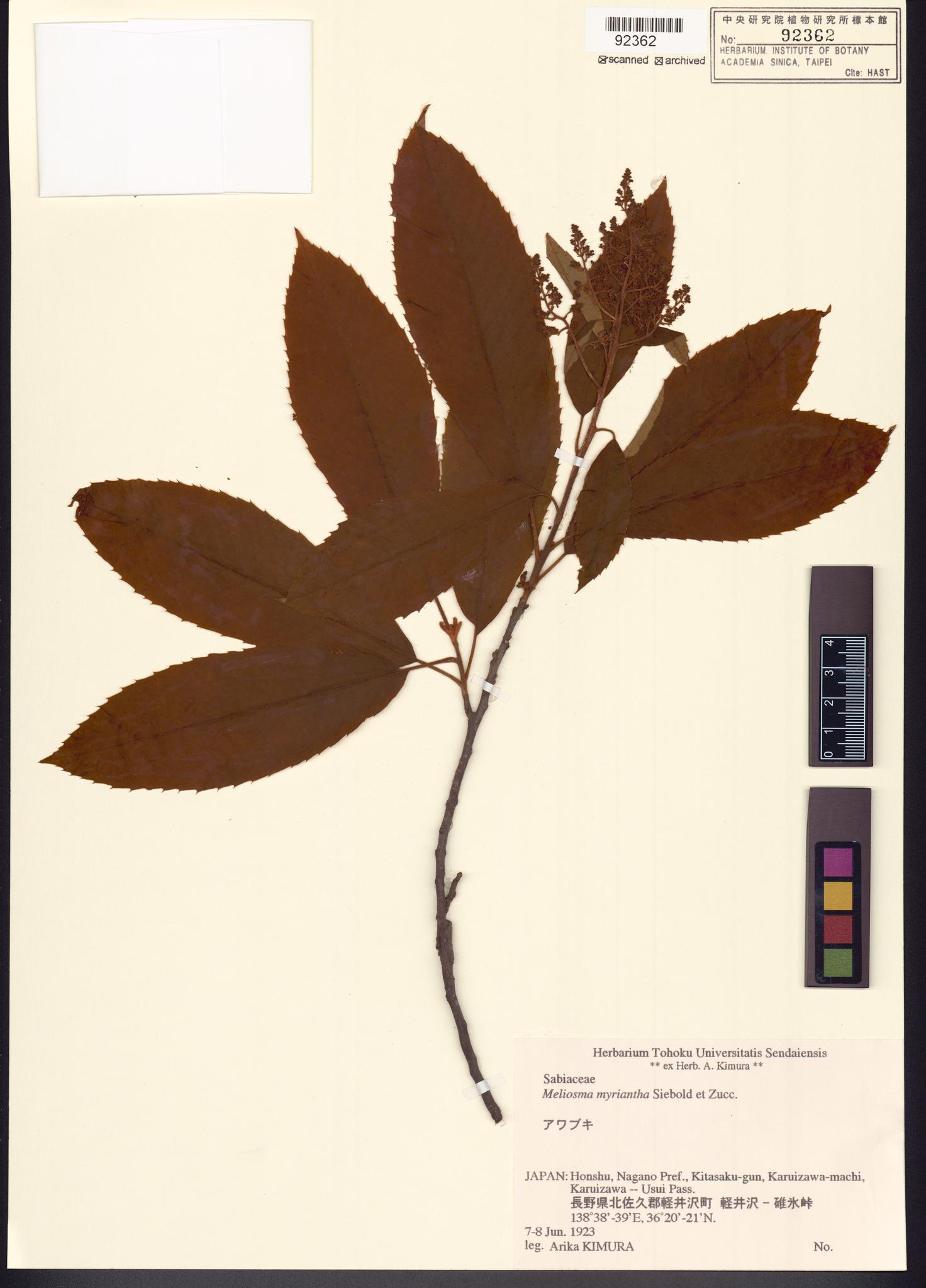 Sample image for viewer