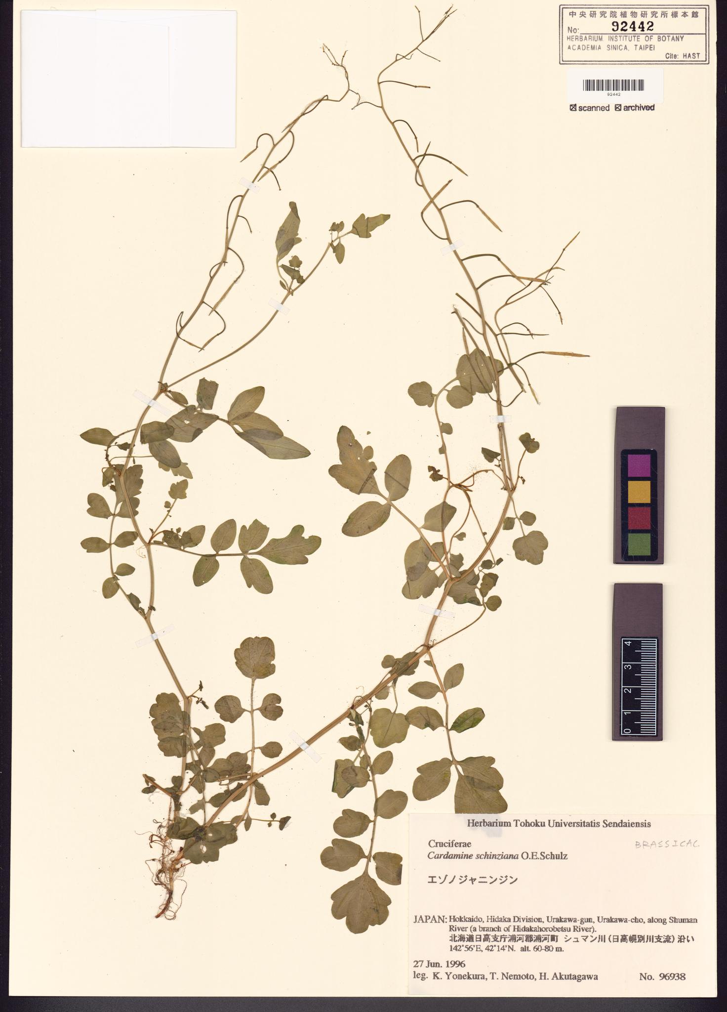 Sample image for viewer