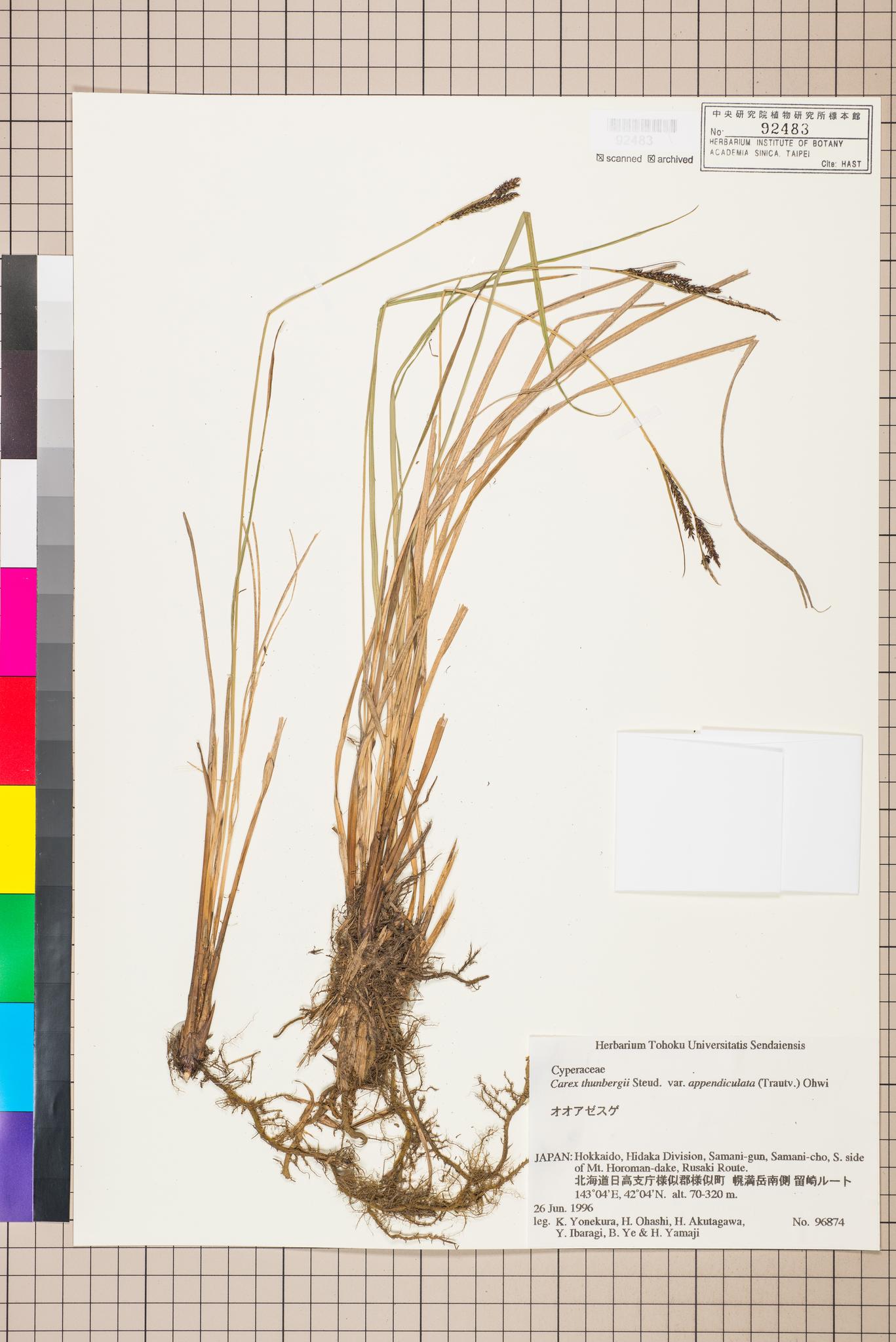 Sample image for viewer