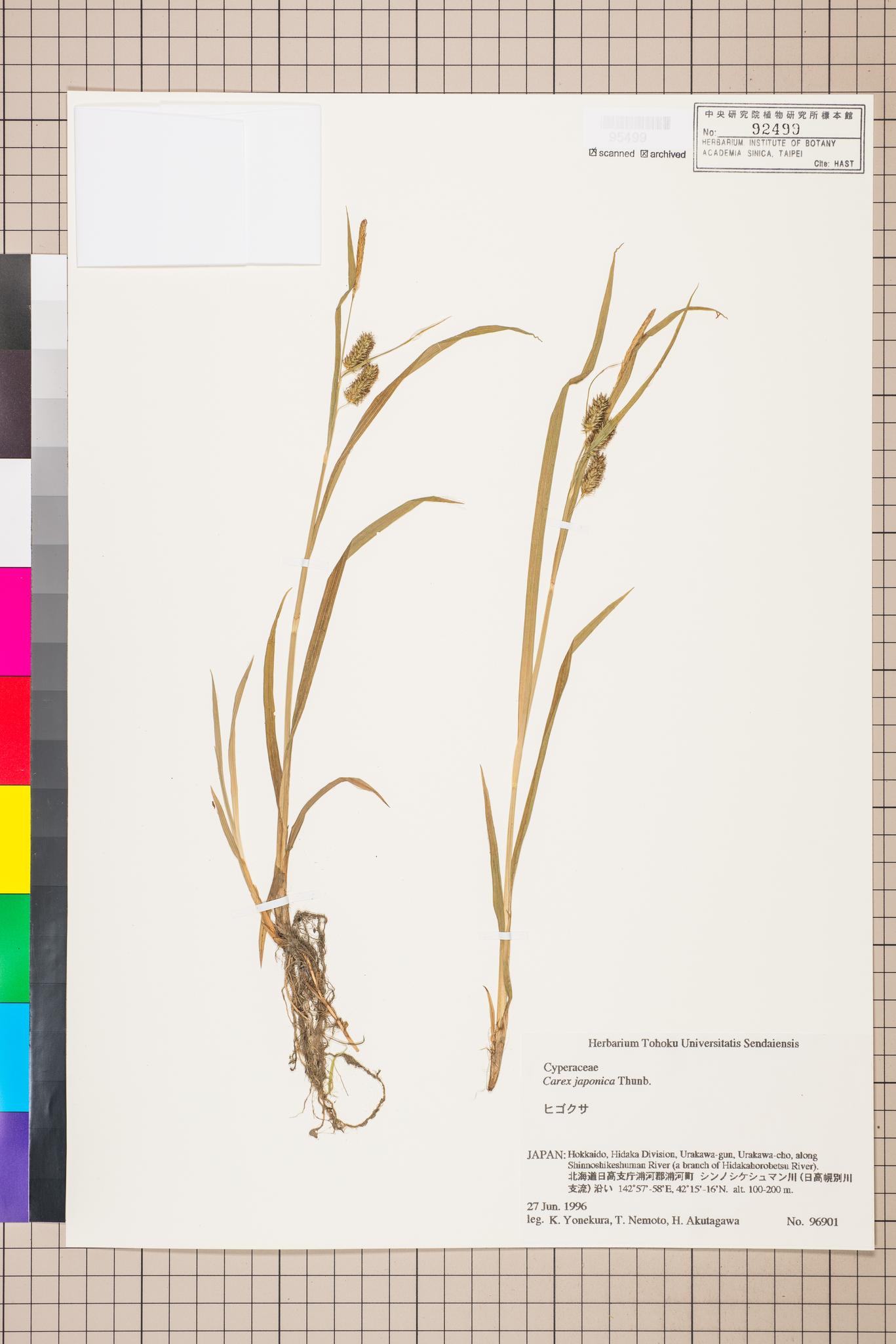 Sample image for viewer