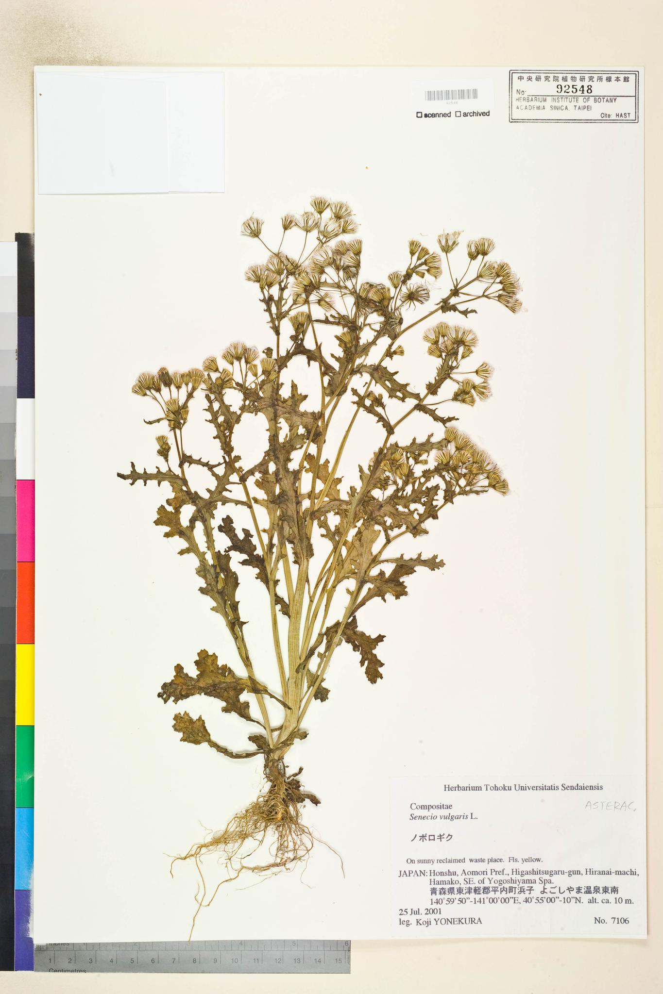 Sample image for viewer