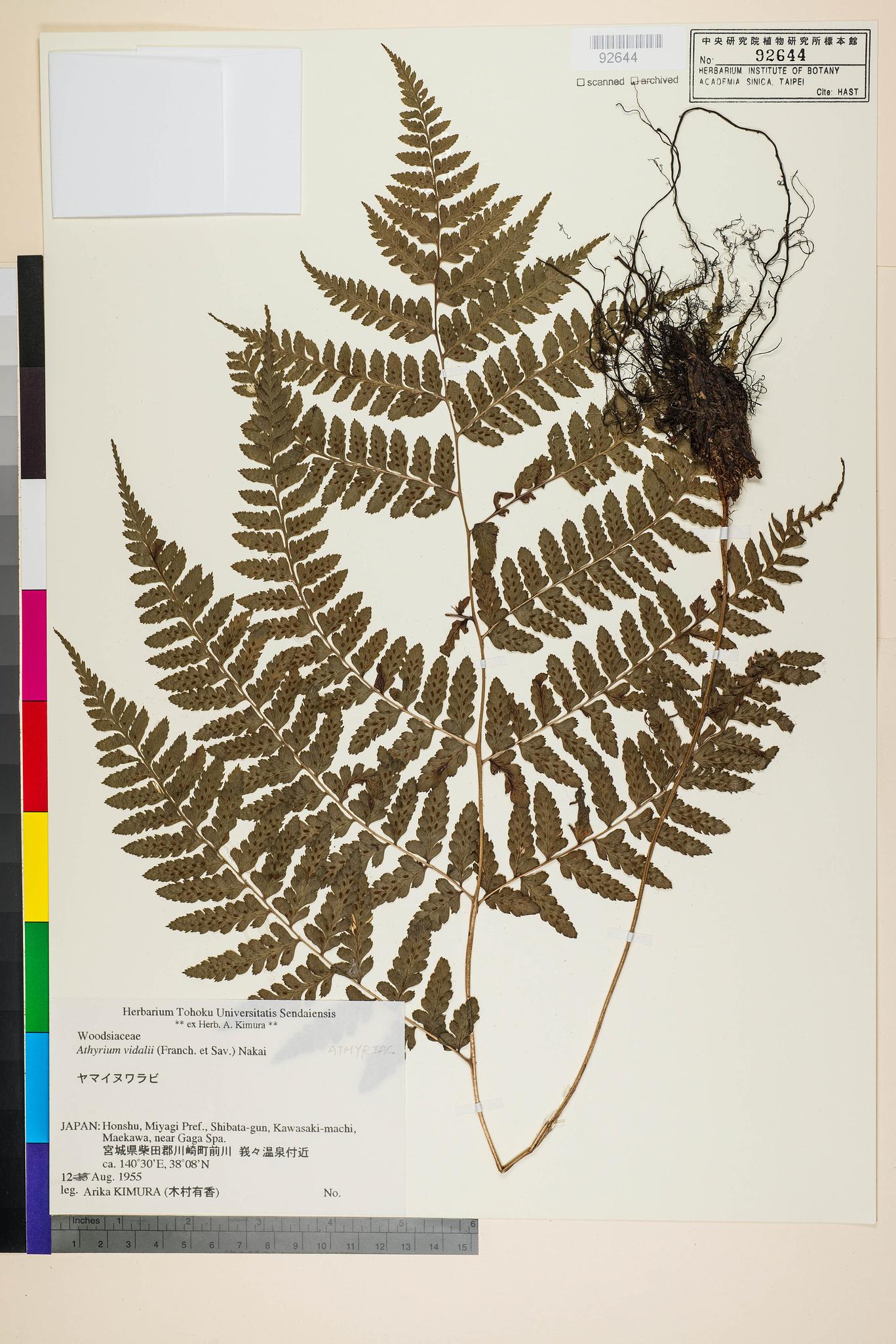 Sample image for viewer