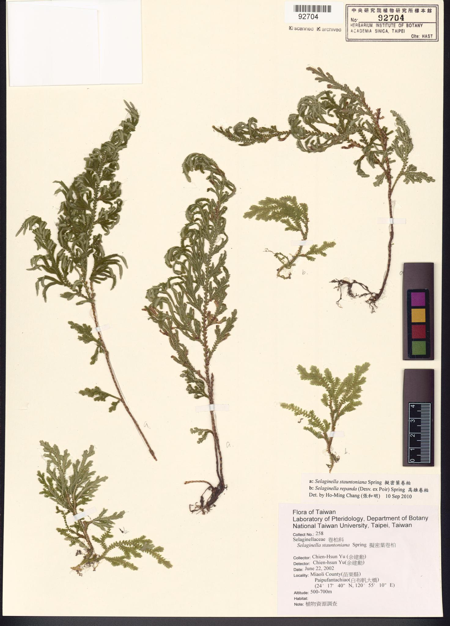 Sample image for viewer