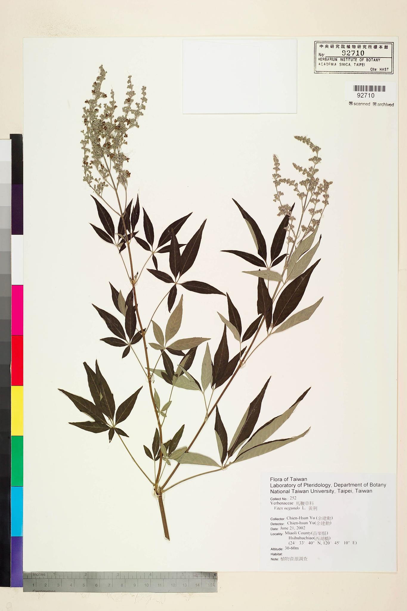 Sample image for viewer