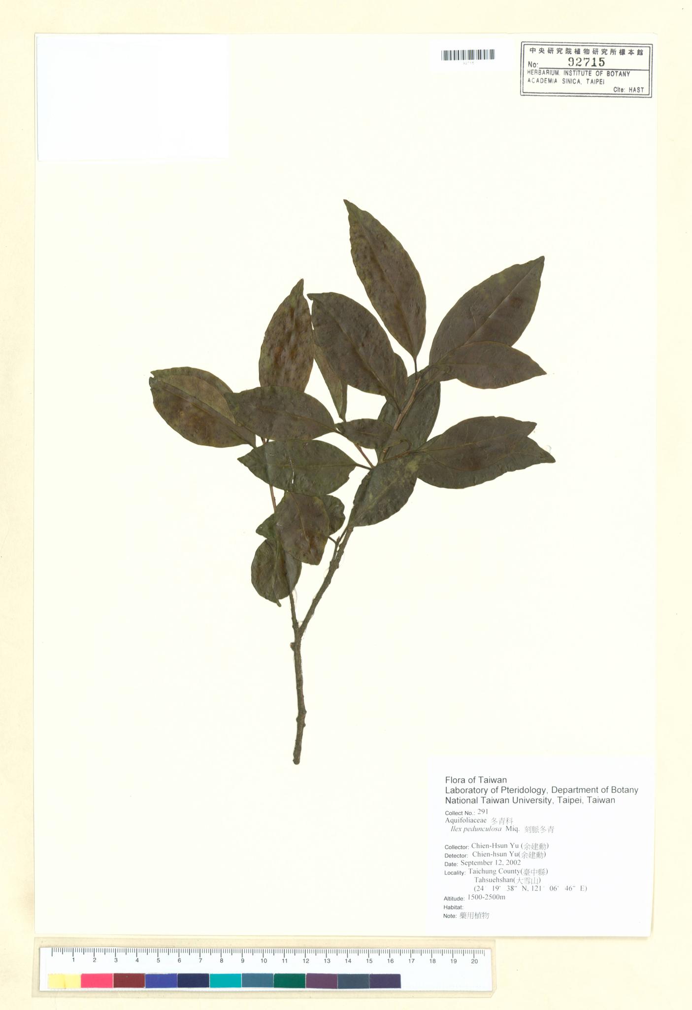 Sample image for viewer