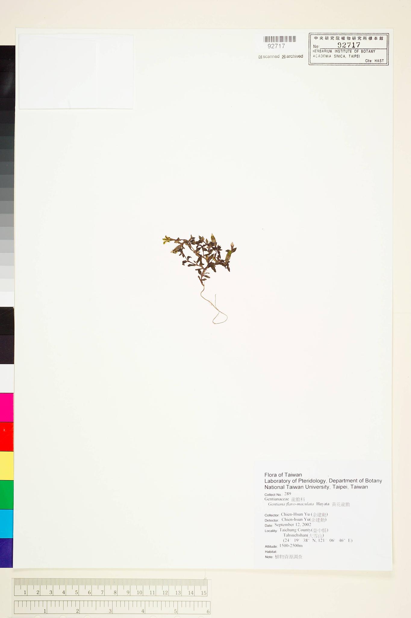 Sample image for viewer