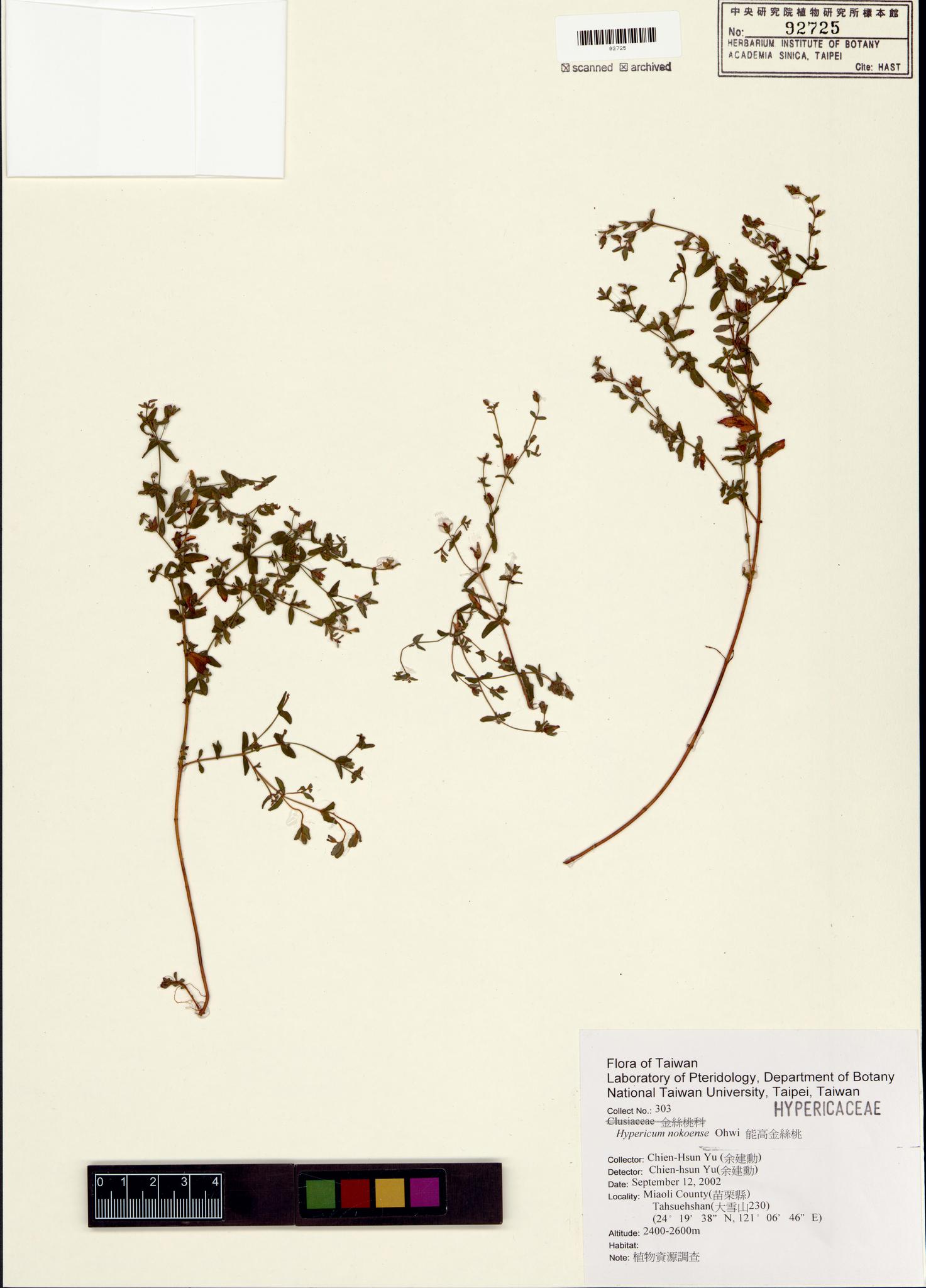 Sample image for viewer