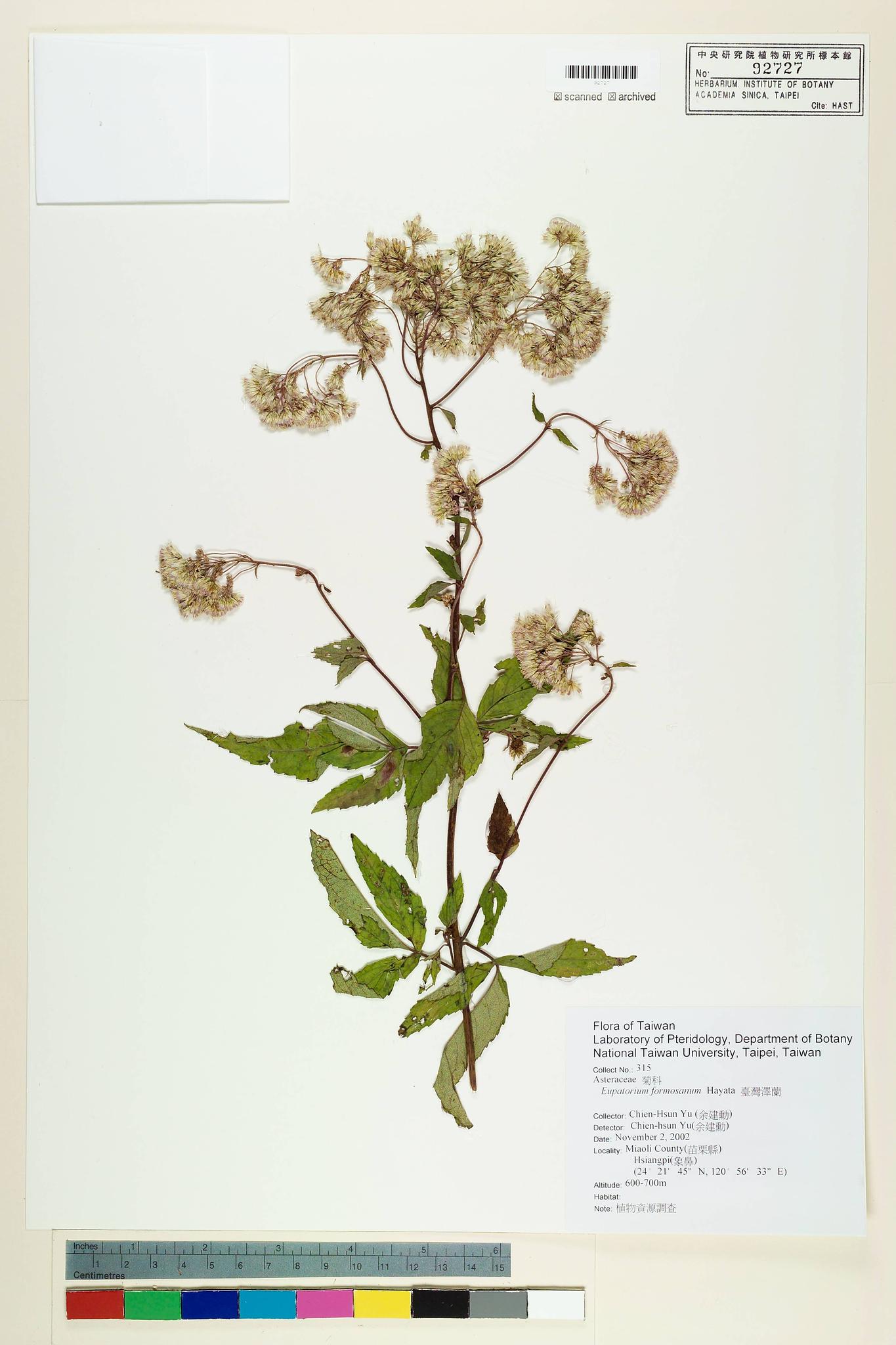 Sample image for viewer