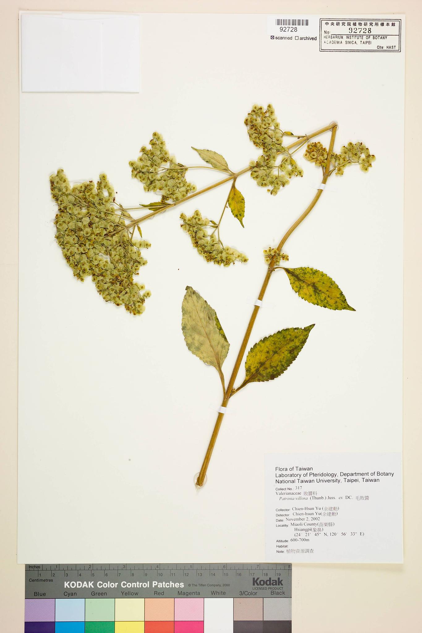 Sample image for viewer