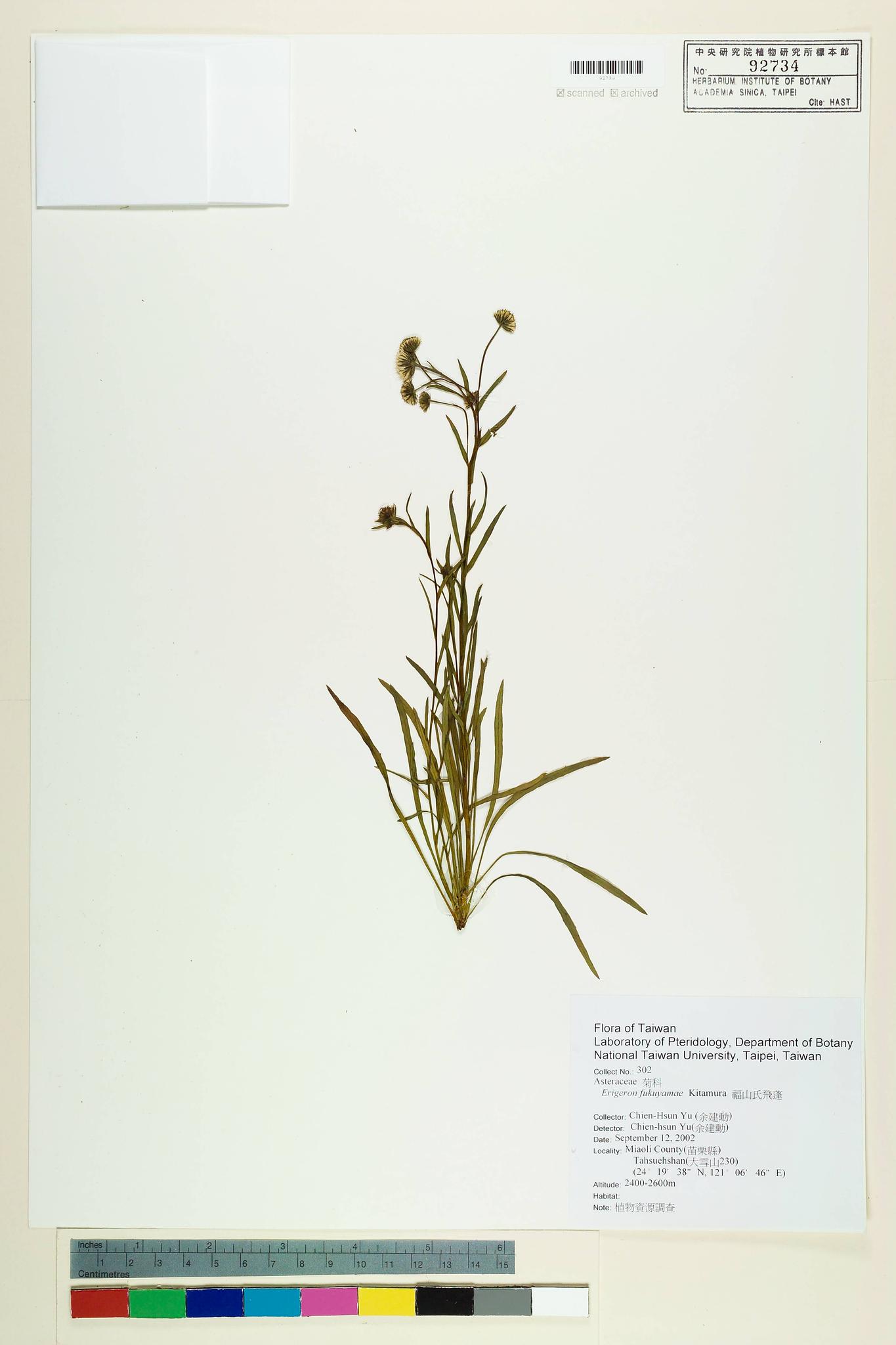 Sample image for viewer