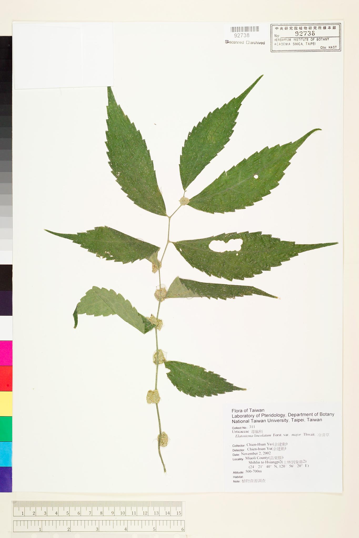 Sample image for viewer