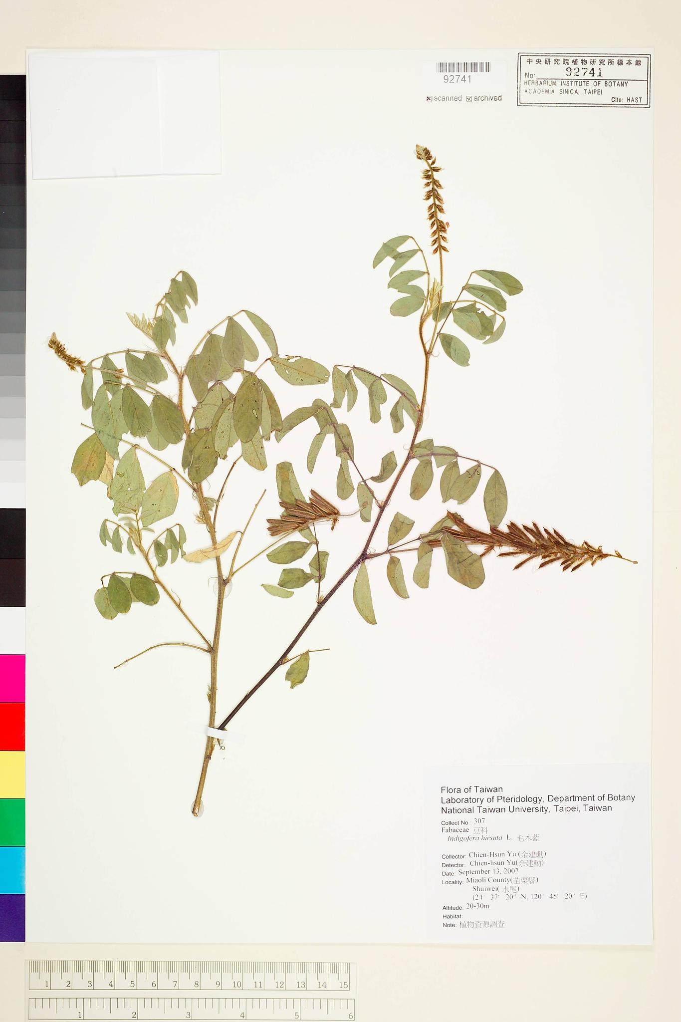 Sample image for viewer