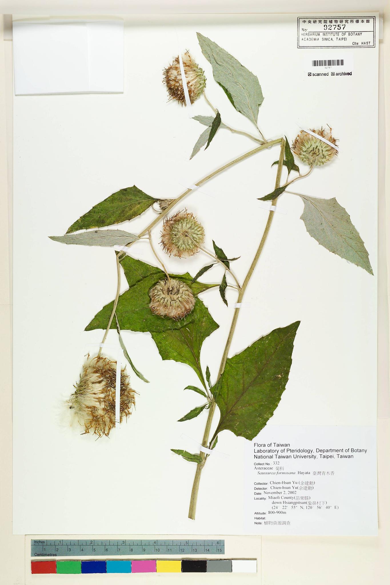 Sample image for viewer