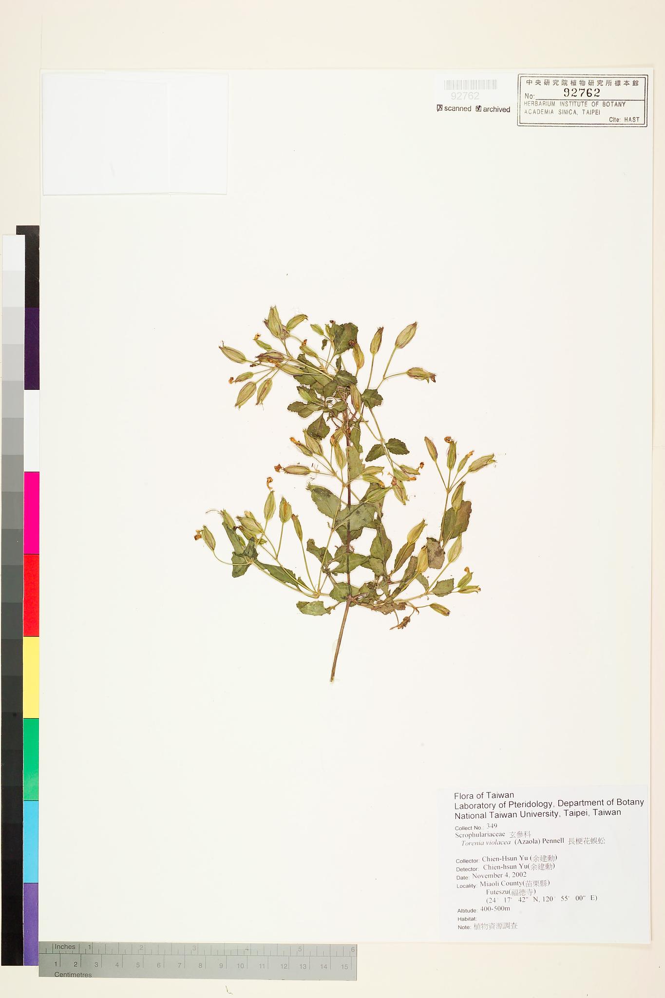 Sample image for viewer