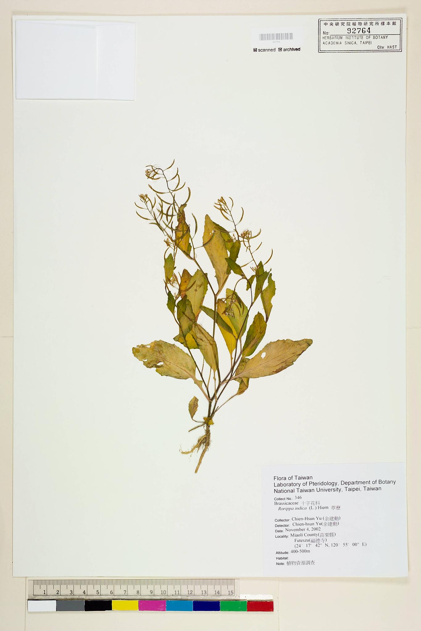 Sample image for viewer