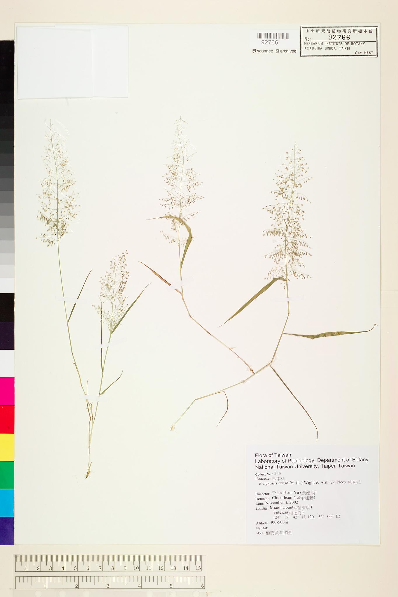 Sample image for viewer