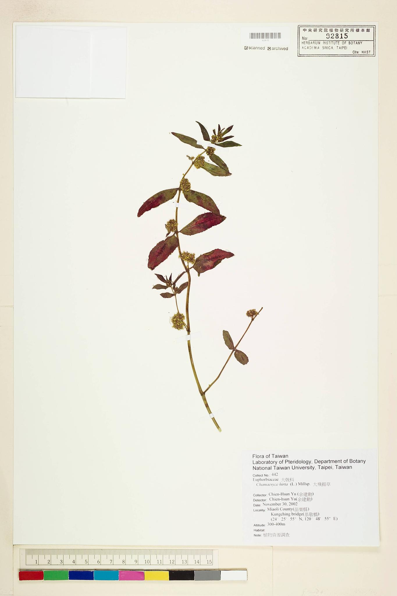 Sample image for viewer