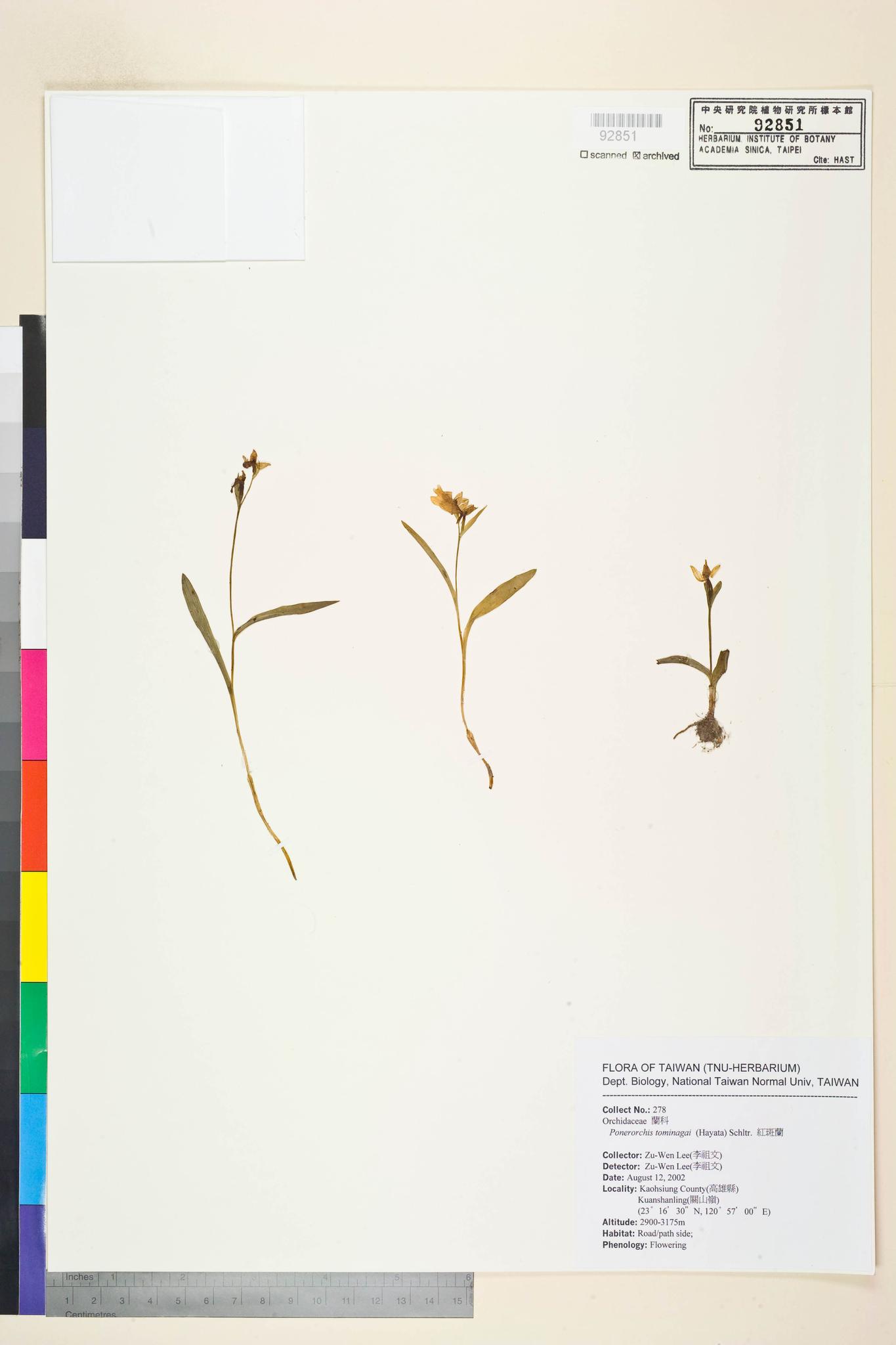 Sample image for viewer