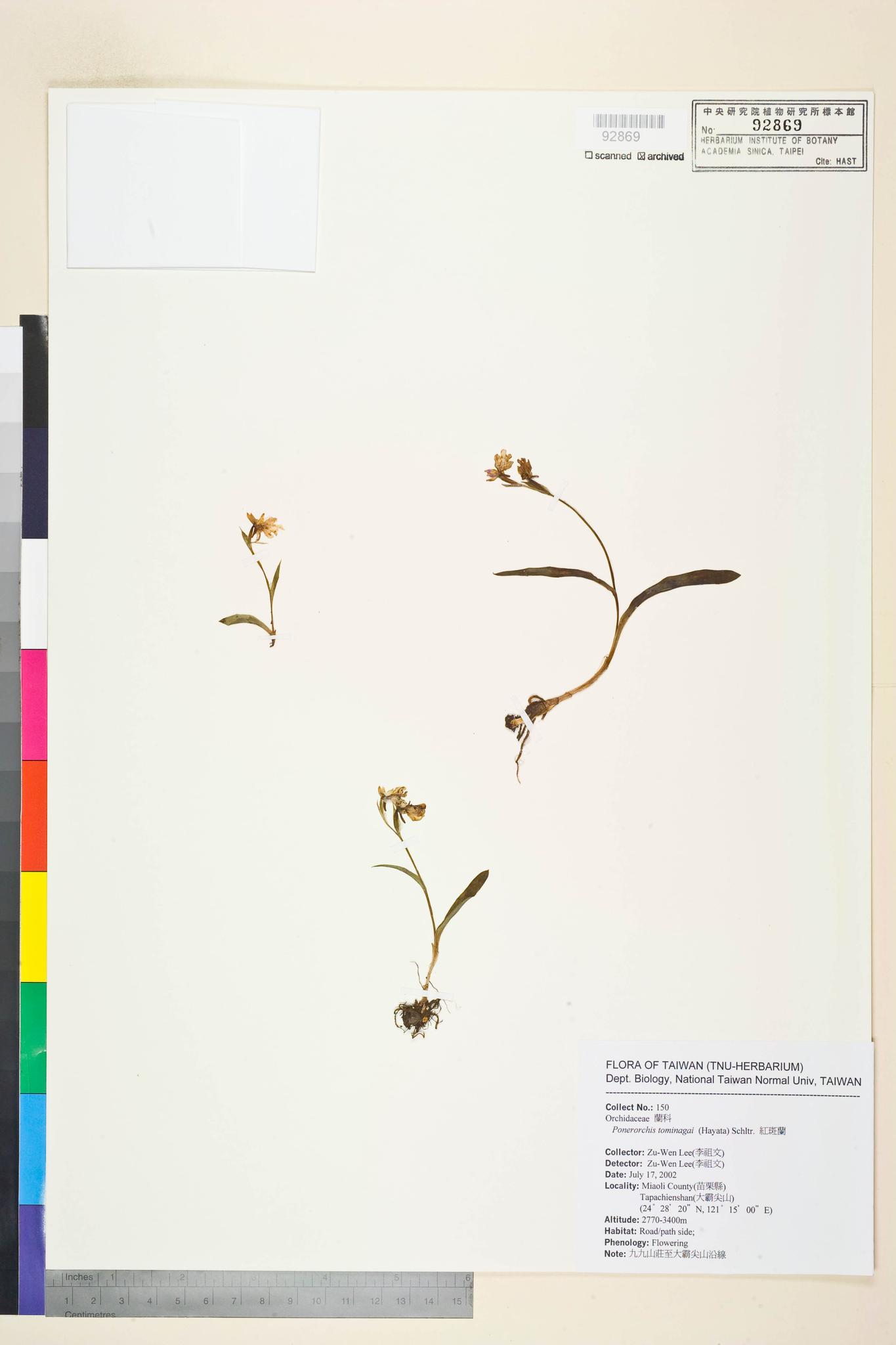 Sample image for viewer