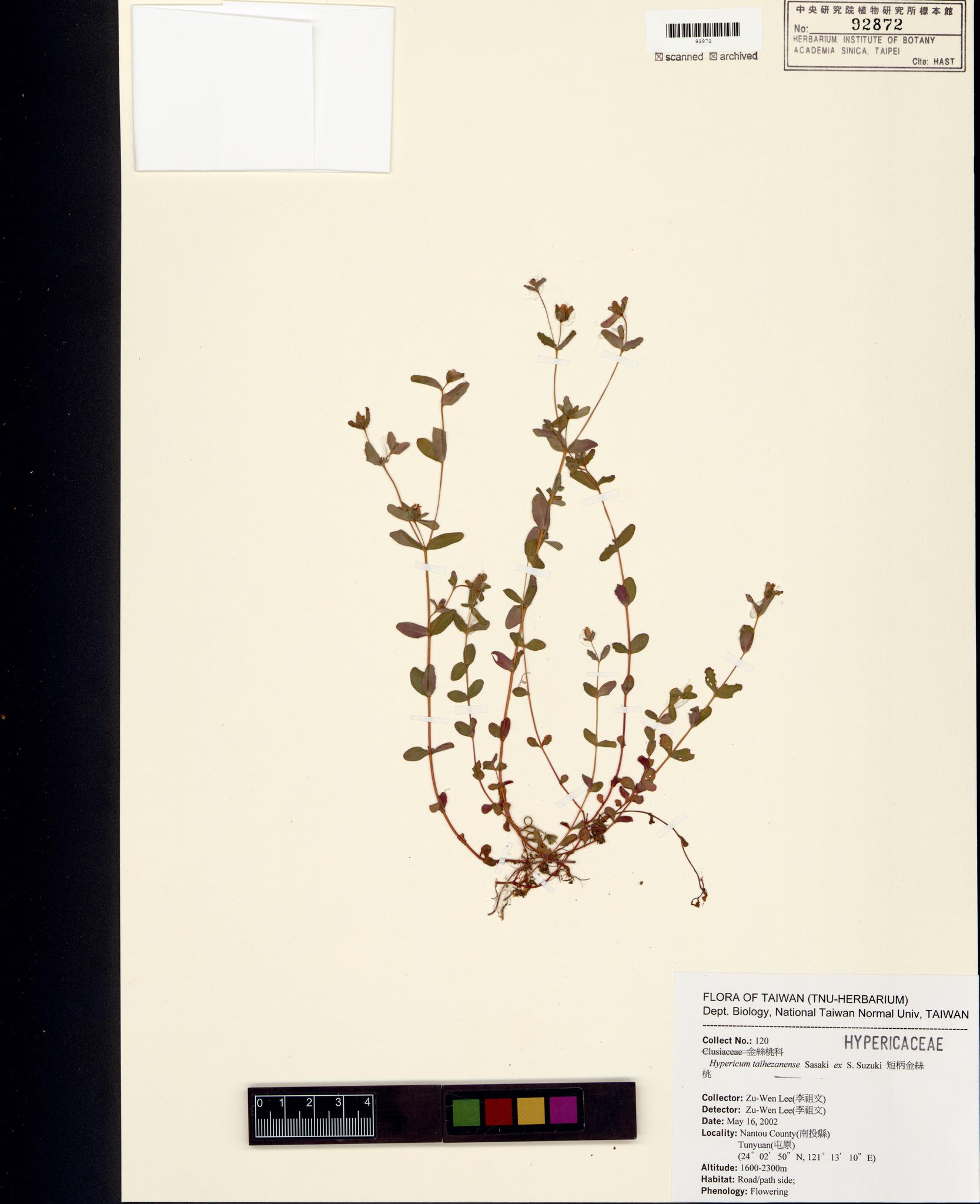 Sample image for viewer