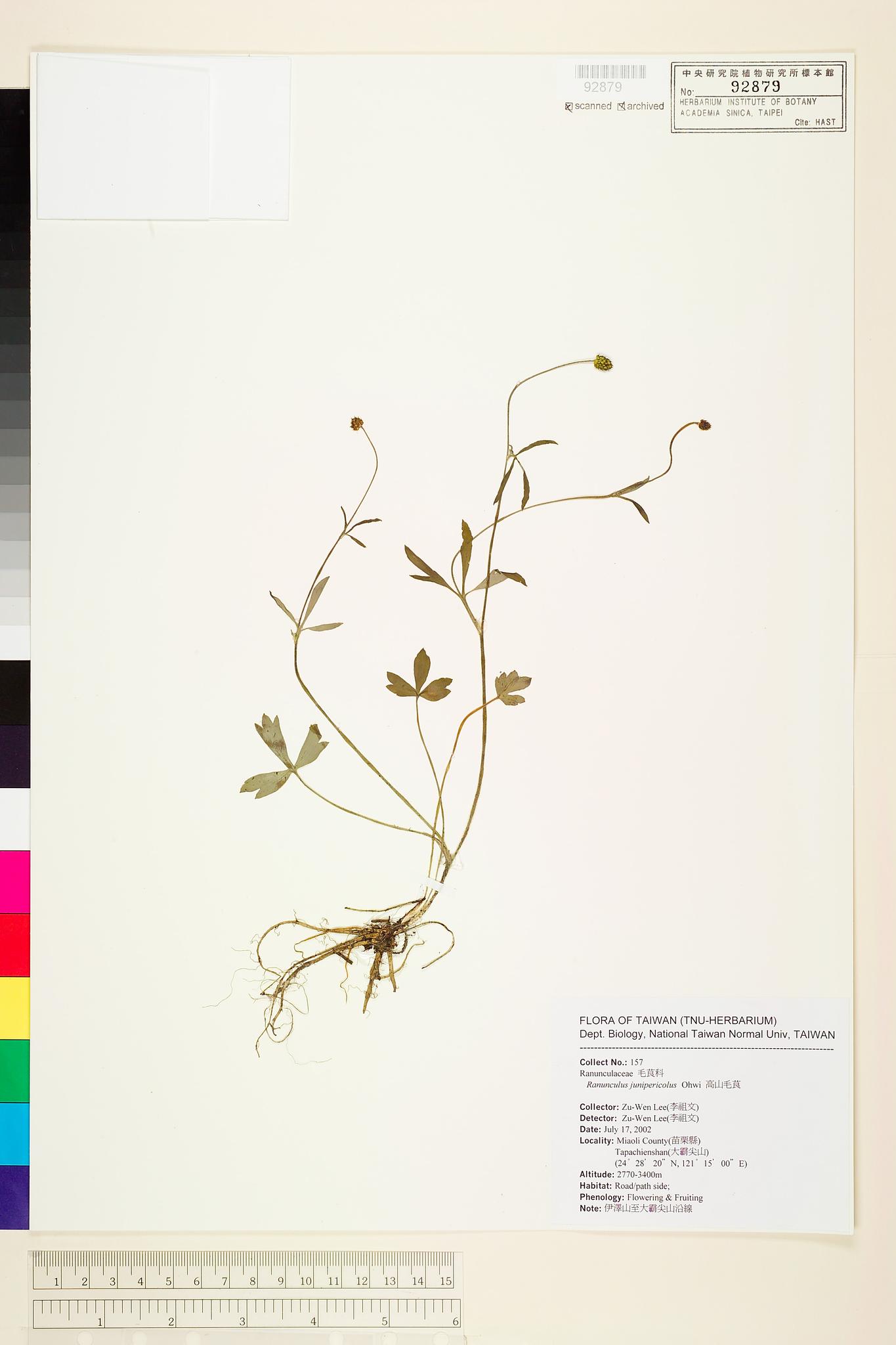 Sample image for viewer