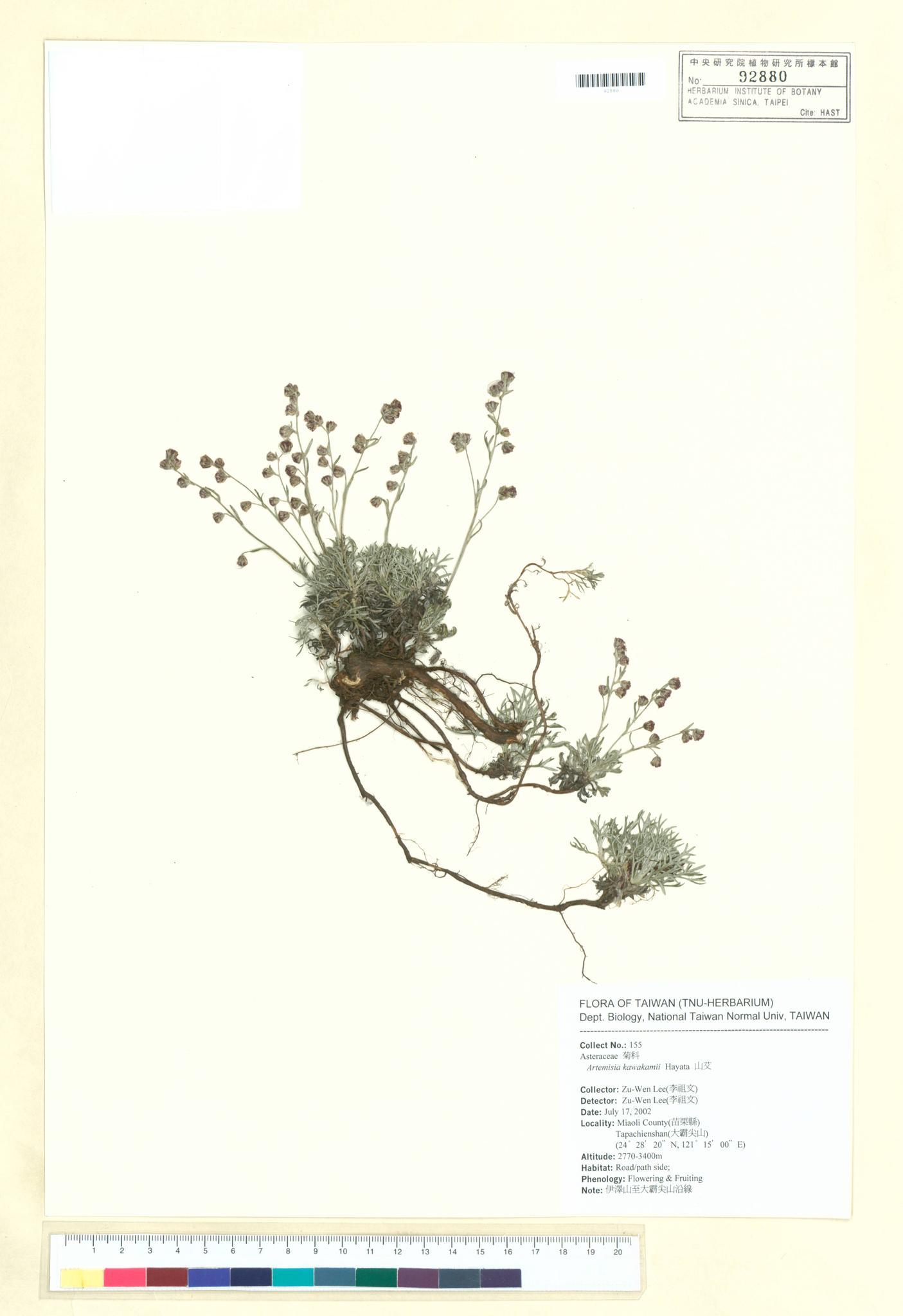 Sample image for viewer