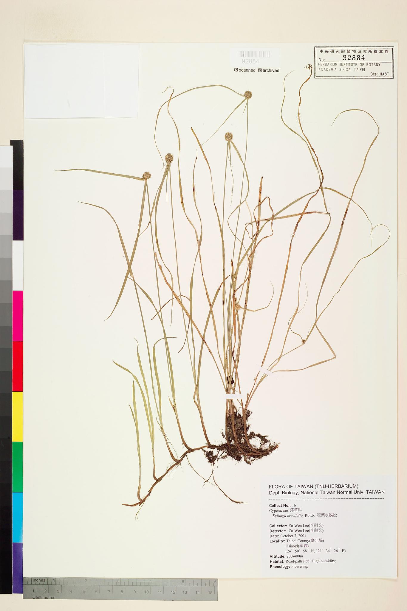 Sample image for viewer