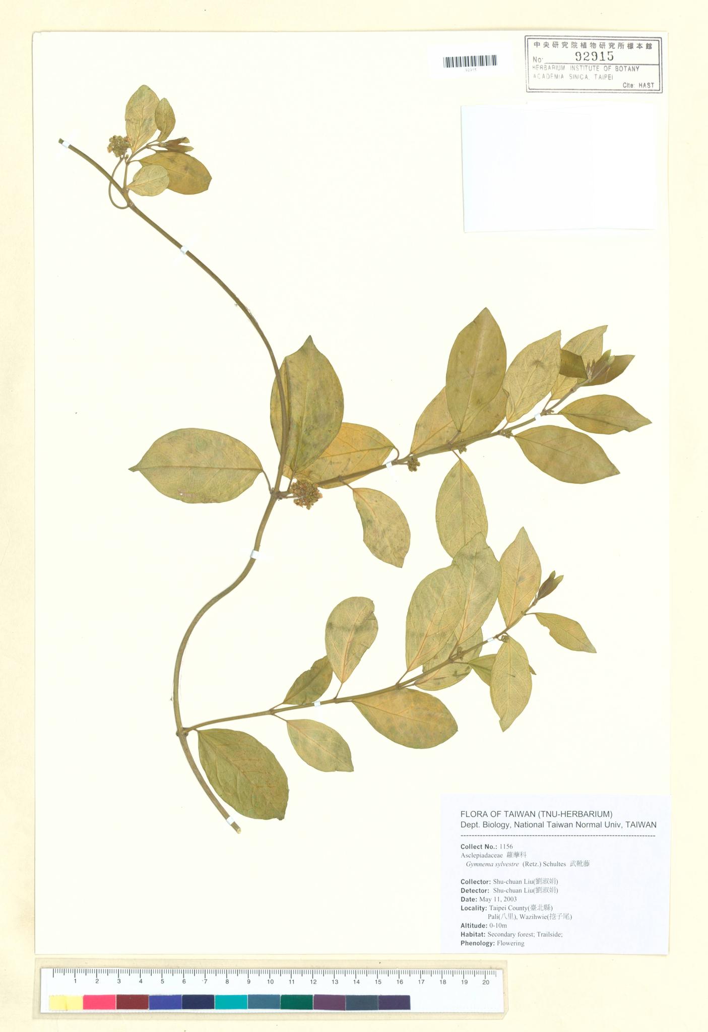 Sample image for viewer