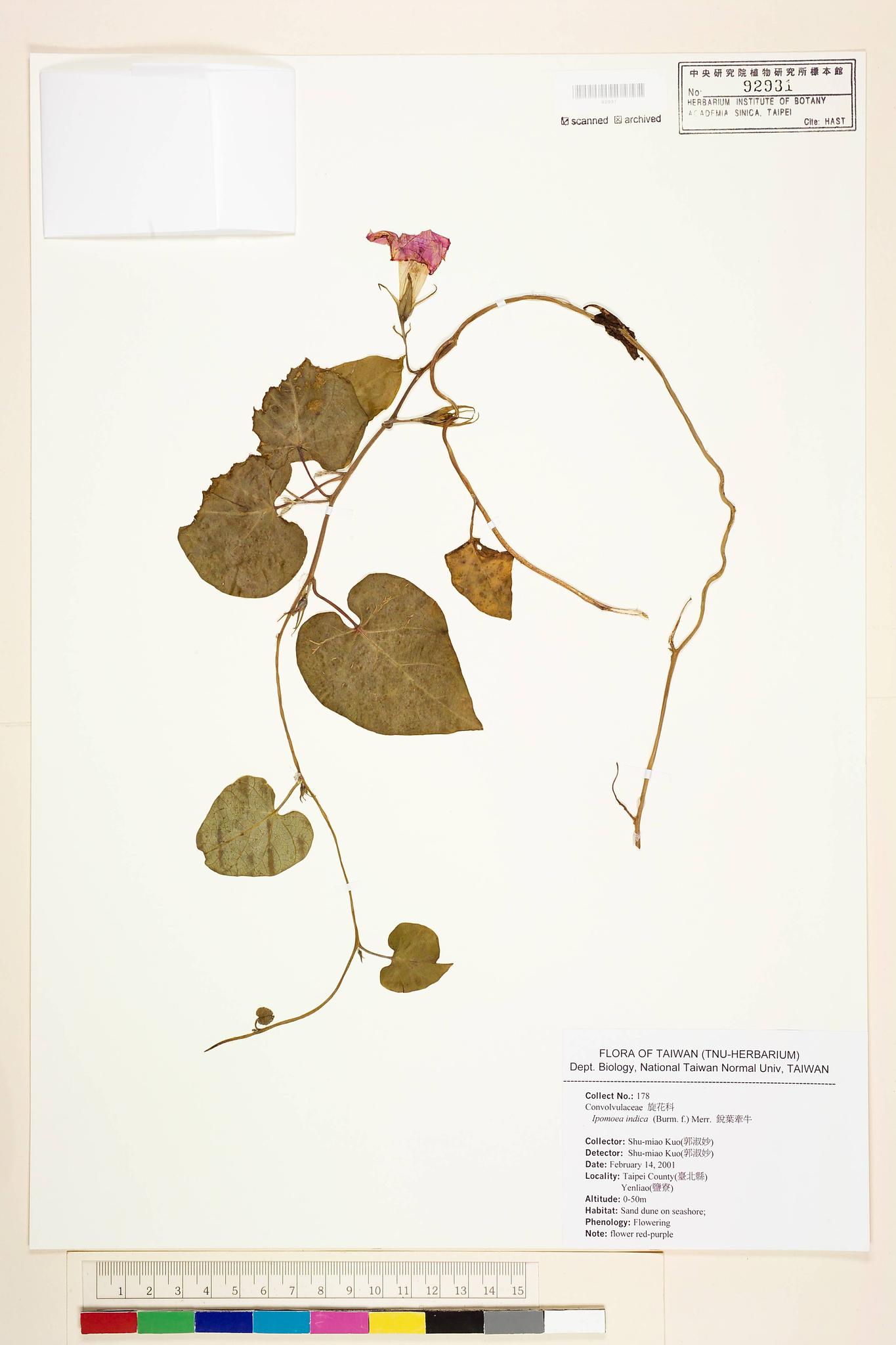 Sample image for viewer