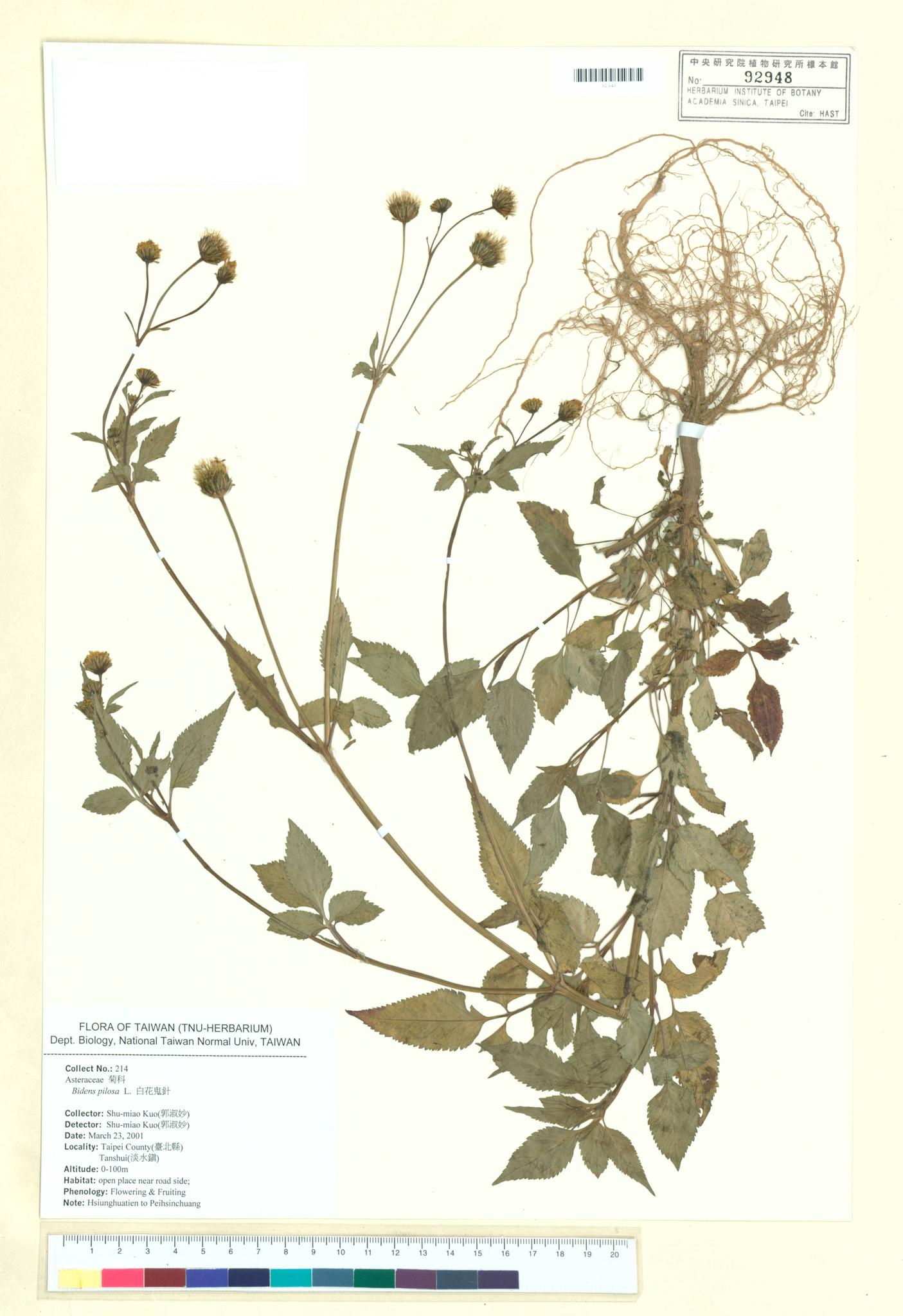 Sample image for viewer