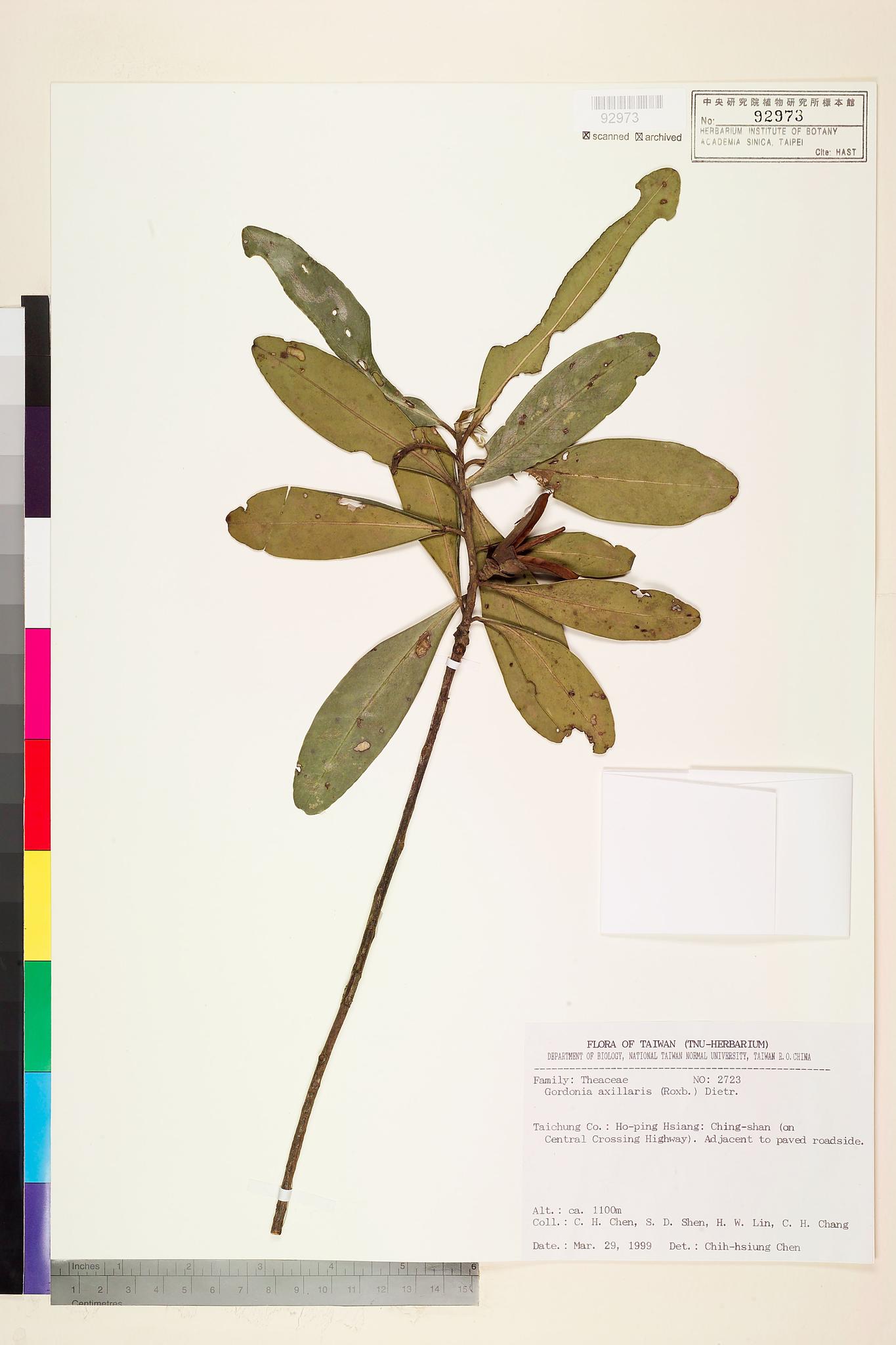 Sample image for viewer