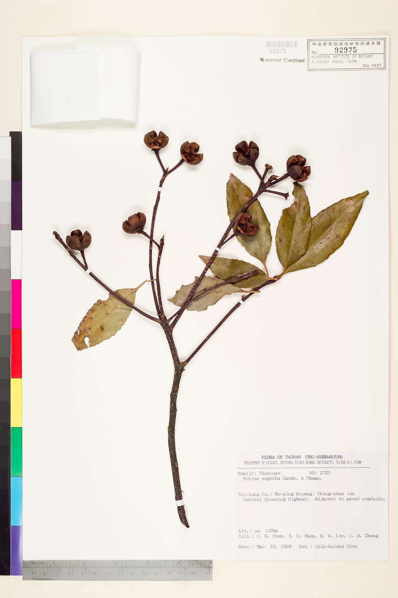 Sample image for viewer