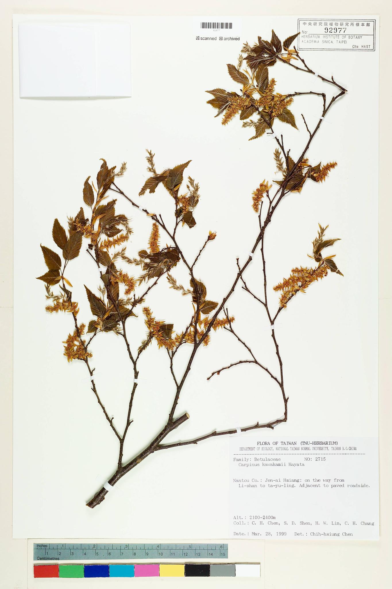 Sample image for viewer