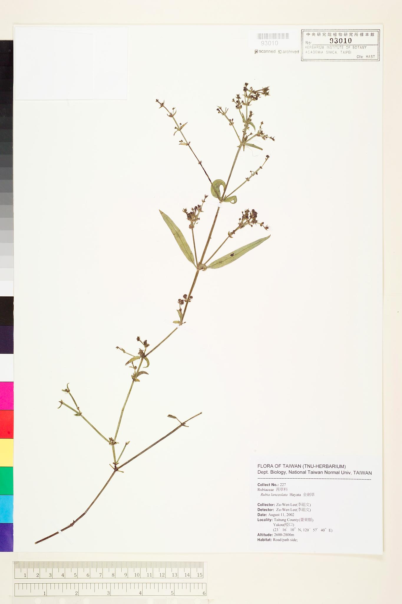 Sample image for viewer