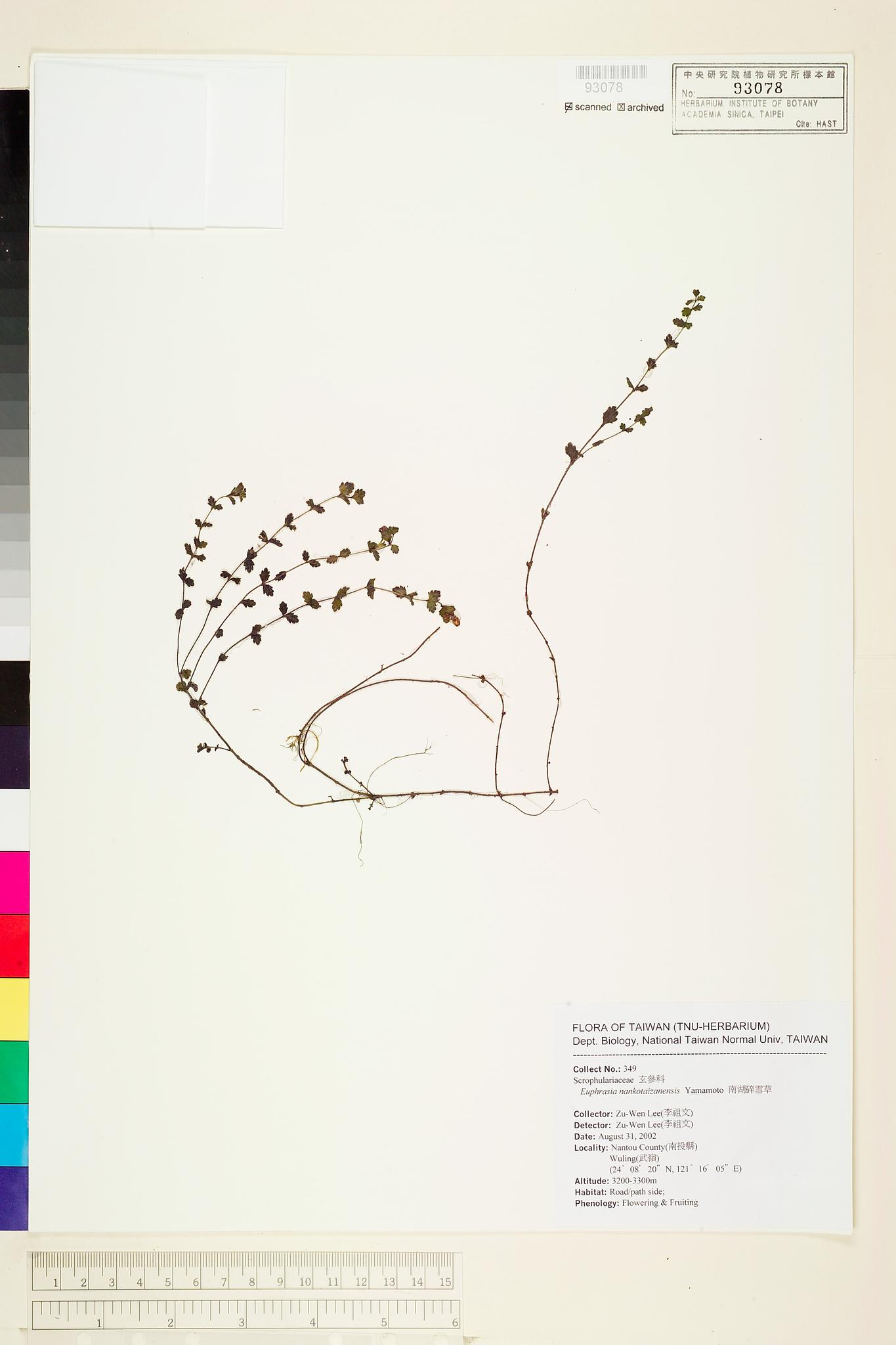 Sample image for viewer