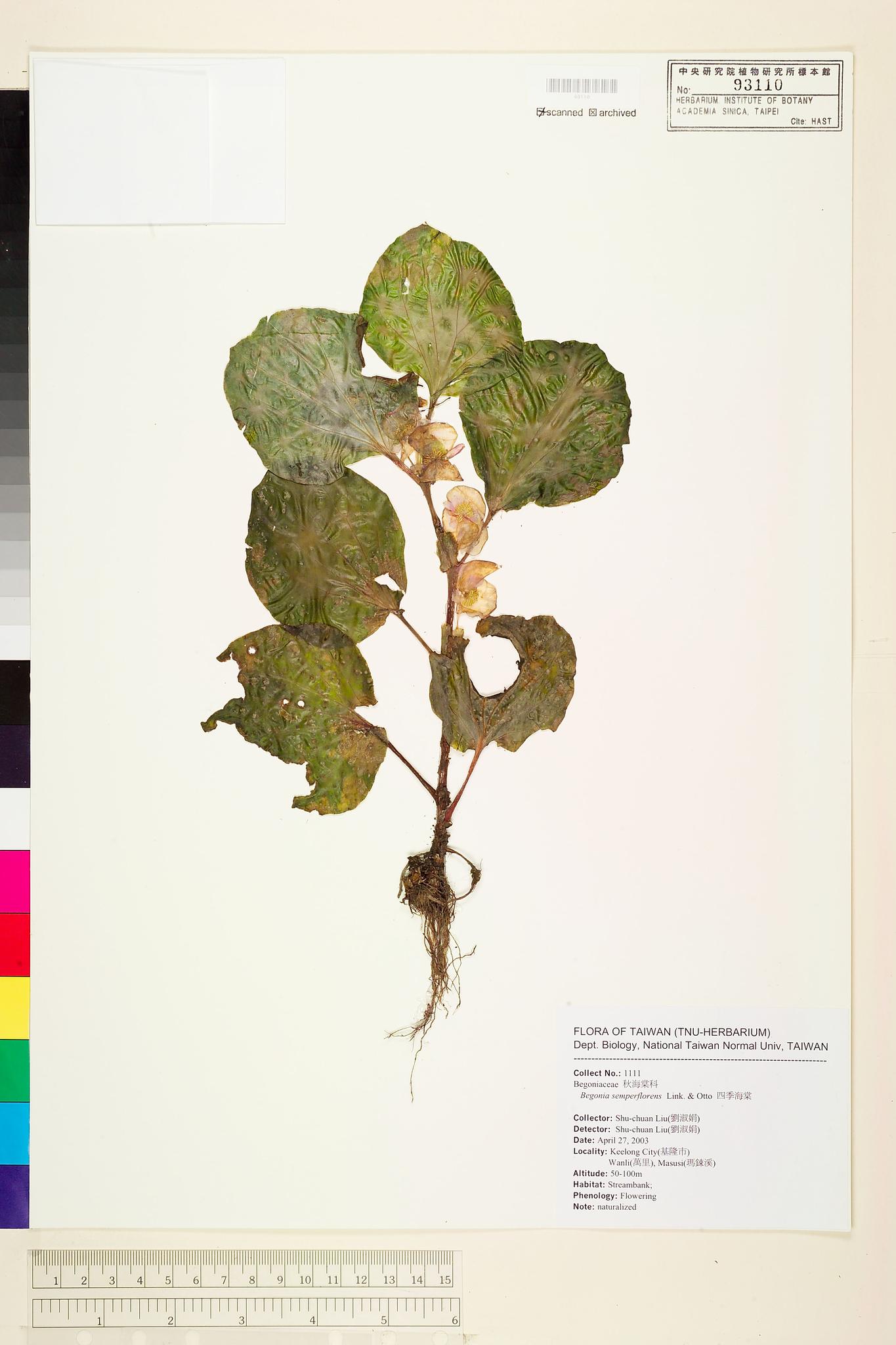 Sample image for viewer