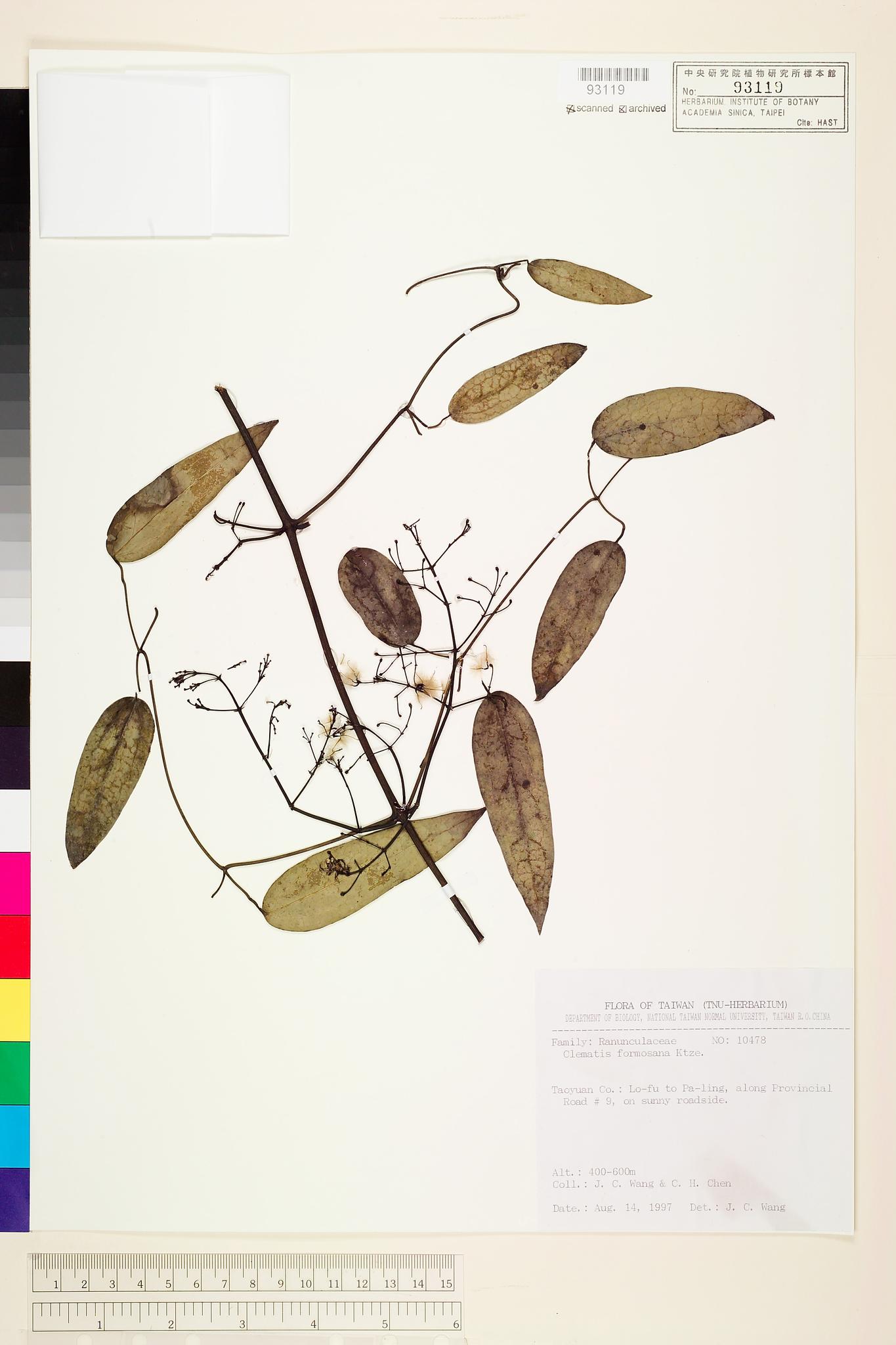 Sample image for viewer