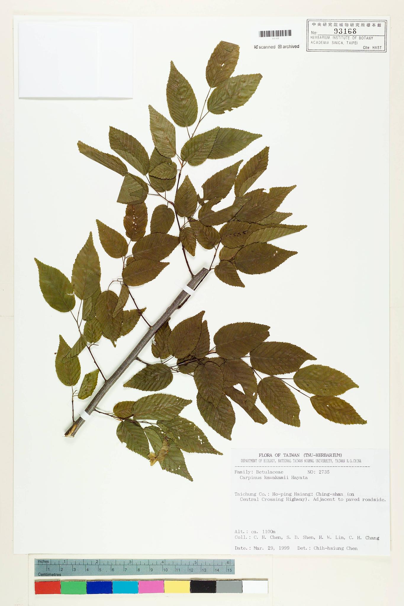 Sample image for viewer