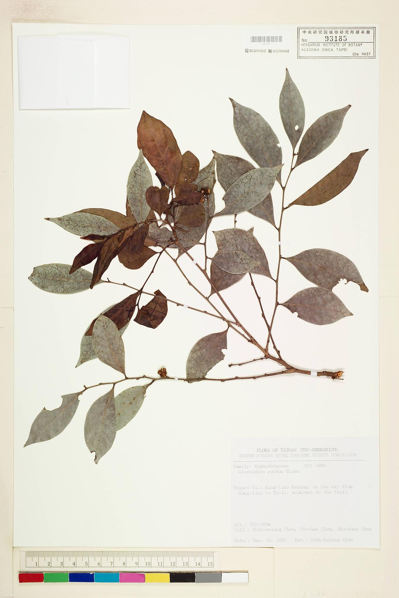 Sample image for viewer