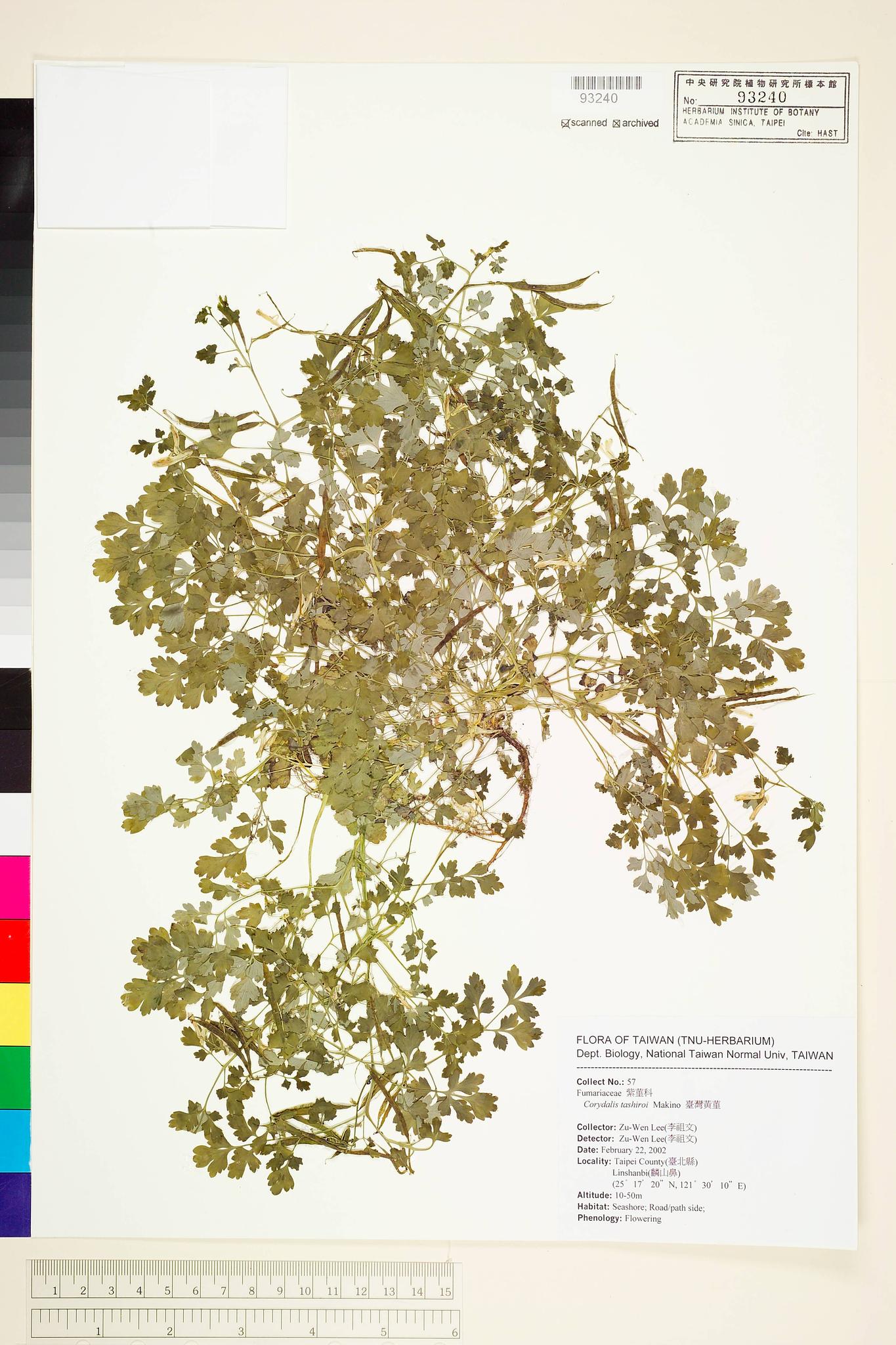 Sample image for viewer