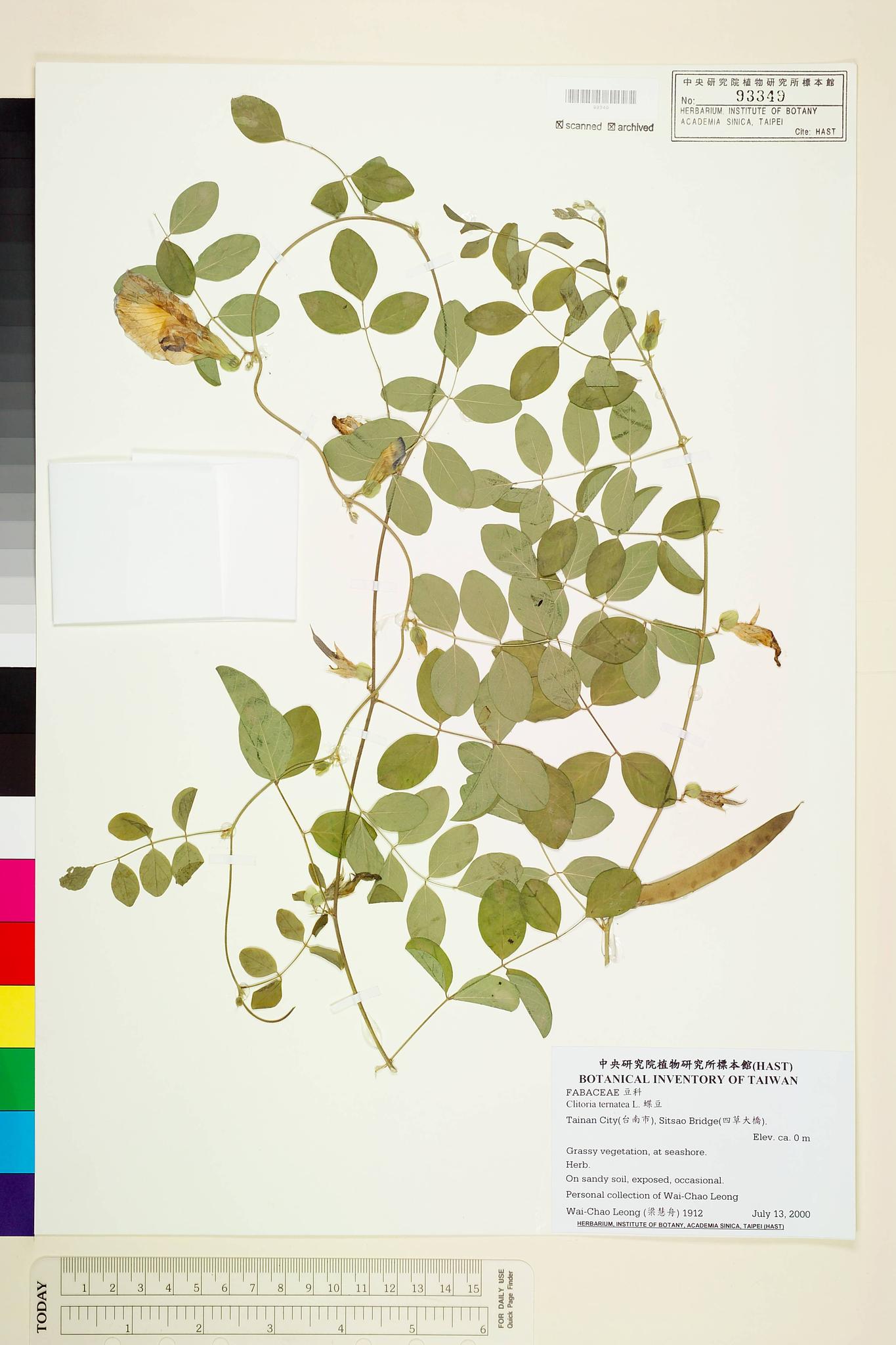 Sample image for viewer