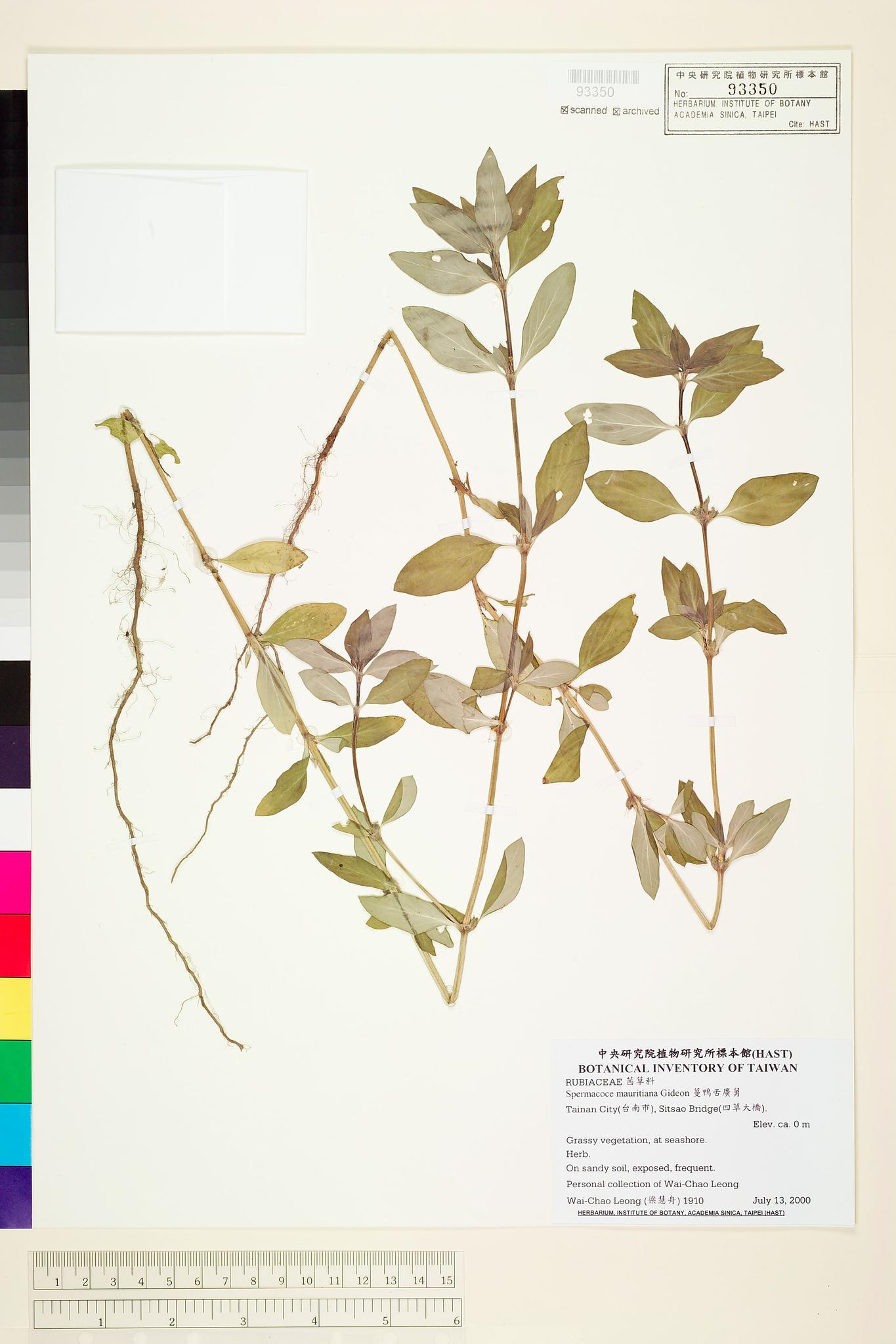 Sample image for viewer