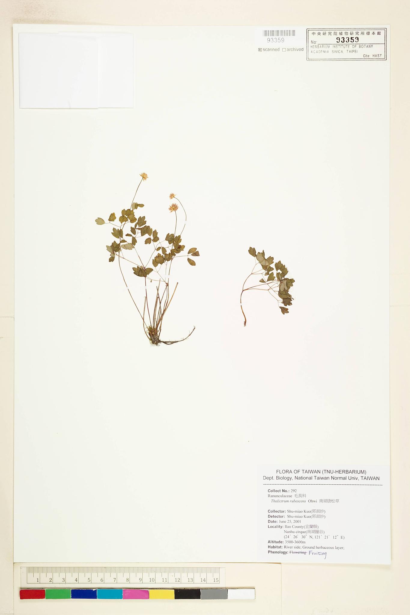 Sample image for viewer