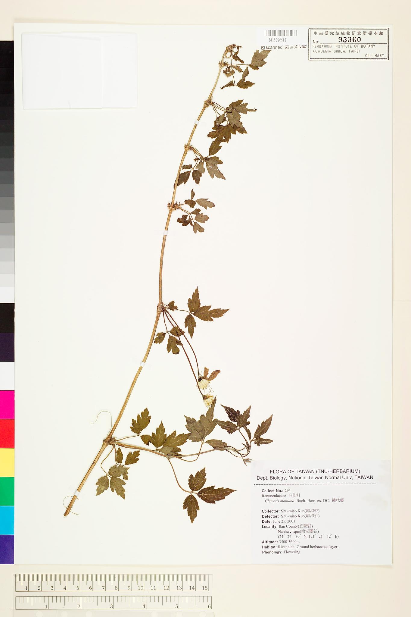 Sample image for viewer