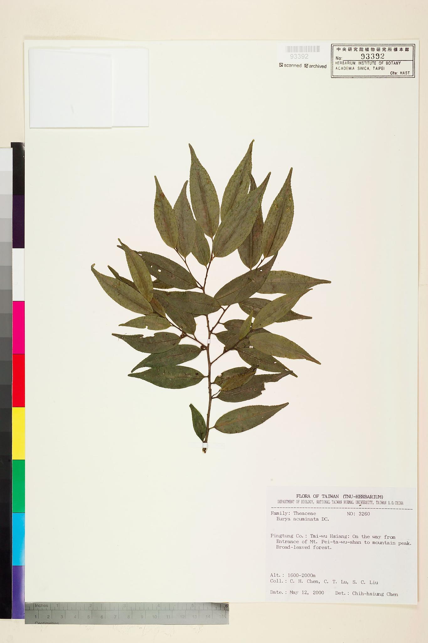 Sample image for viewer